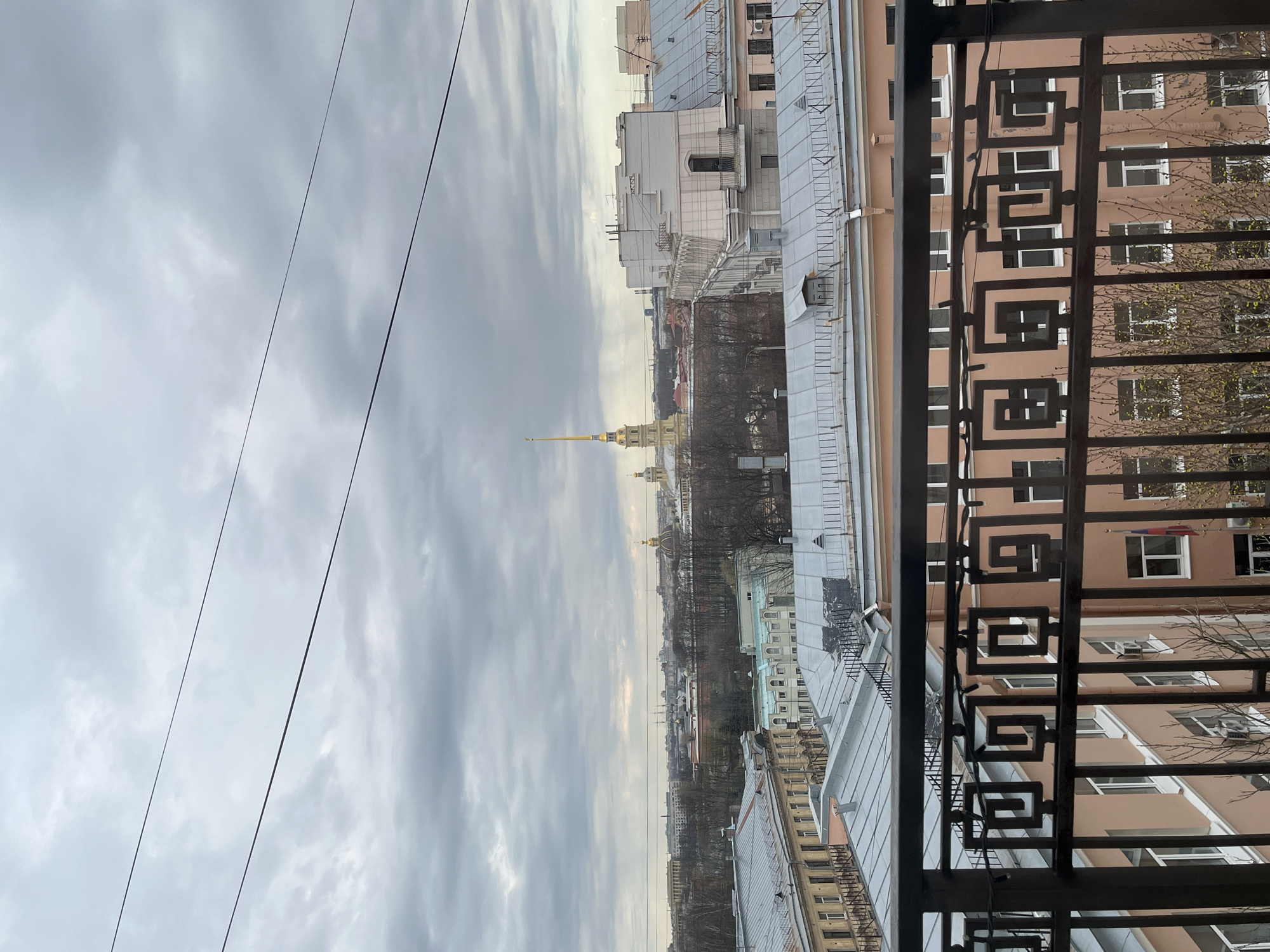 The image displays an urban cityscape viewed from a high vantage point, likely a balcony or window, under an overcast sky. In the foreground, a dark, ornate metal balcony railing with a repeating geometric pattern is prominent, framing the lower right portion of the scene. Several dark wires stretch diagonally across the upper left sky.
The midground offers a panoramic view of Saint Petersburg, Russia. Various building rooftops with facades in shades of white, light brown, and light blue are visible, interspersed with bare trees, suggesting a late autumn or winter season. In the distance, the distinctive golden spire of the Peter and Paul Cathedral stands out as a prominent landmark, confirming the location. Other golden domes and architectural elements are visible further in the background.
The sky is heavily overcast with grey clouds, indicating cloudy weather. The lighting is soft and diffused, characteristic of daytime, though the precise time of day (morning or afternoon) is not clearly discernible due to the cloud cover. There is no visible activity or specific event taking place; the scene is a static architectural landscape. A small Russian flag (white, blue, red horizontal stripes) is visible on a building in the mid-ground. No other discernible text is present in the image.