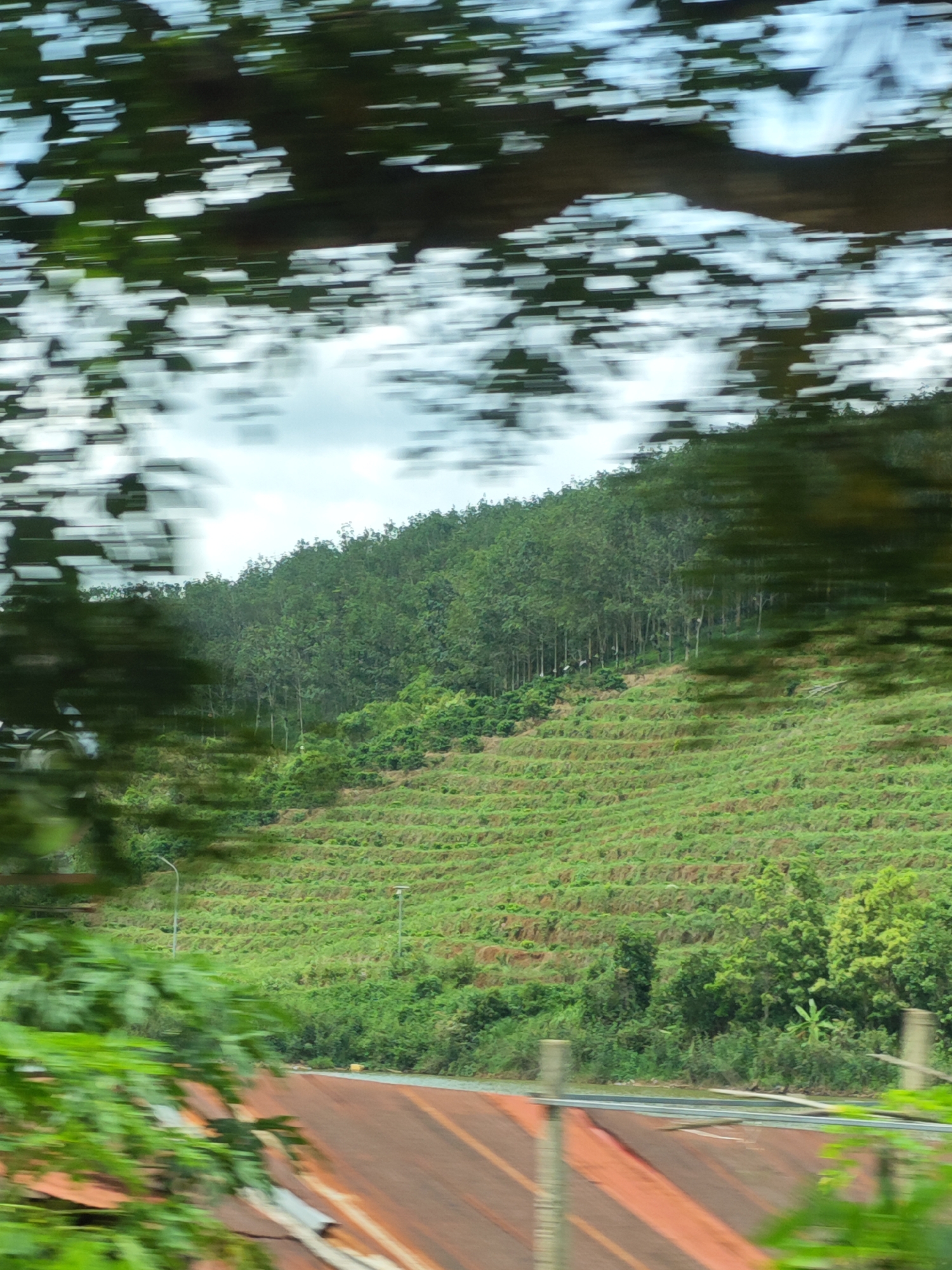 The image shows a steep, terraced hillside covered in lush green vegetation, likely agricultural fields or a plantation. The trees at the top of the hill are dense and tall, forming a dark green canopy against a partly cloudy sky. In the foreground, a portion of a rusty corrugated metal roof is visible, suggesting the presence of buildings or structures at the base of the hill. The overall impression is one of a rural or semi-rural landscape in Pờ Y, Vietnam, characterized by its hilly terrain and agricultural development. The motion blur indicates that the photo was taken from a moving vehicle.