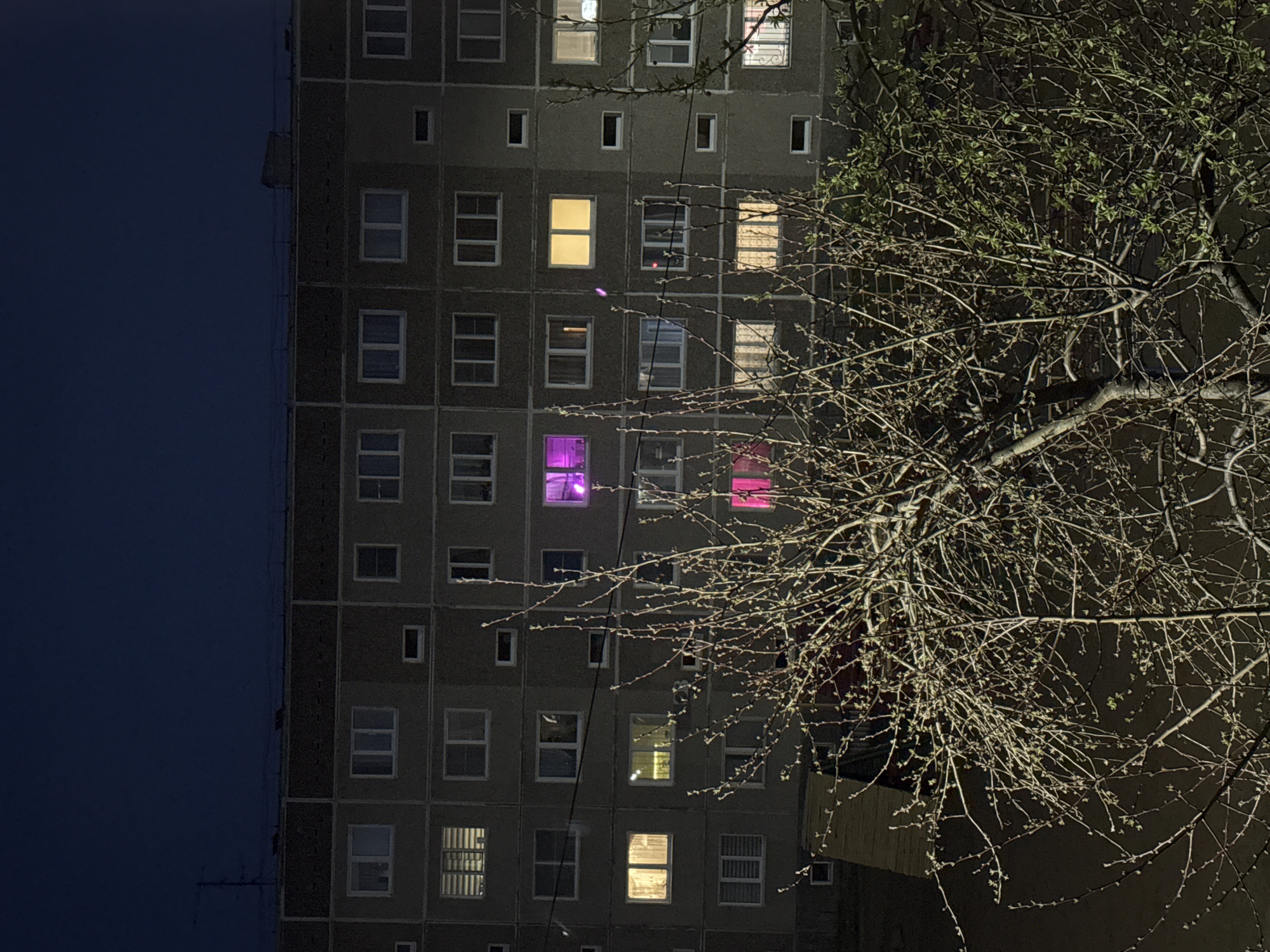 At night, a tall, gray, multi-story apartment building in Chaikovsky, Russia, stands beside a leafless tree with budding leaves. Several windows are illuminated with varying colors: white, yellow, pink, and purple. The left side of the image shows the dark blue night sky.