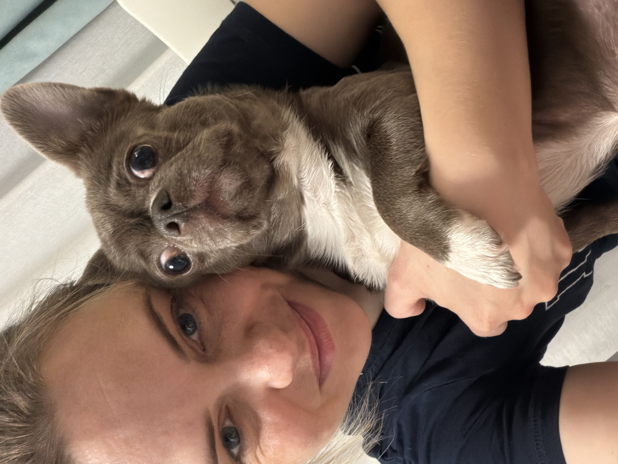 A woman is holding a small, light brown dog with large, dark eyes close to her face. The dog has a white patch on its chest and paws. The woman is smiling slightly. They are both wearing dark blue clothing. The background is blurry and suggests an indoor setting. There is no information in the image to indicate it was taken in Votkinsk, Russia.