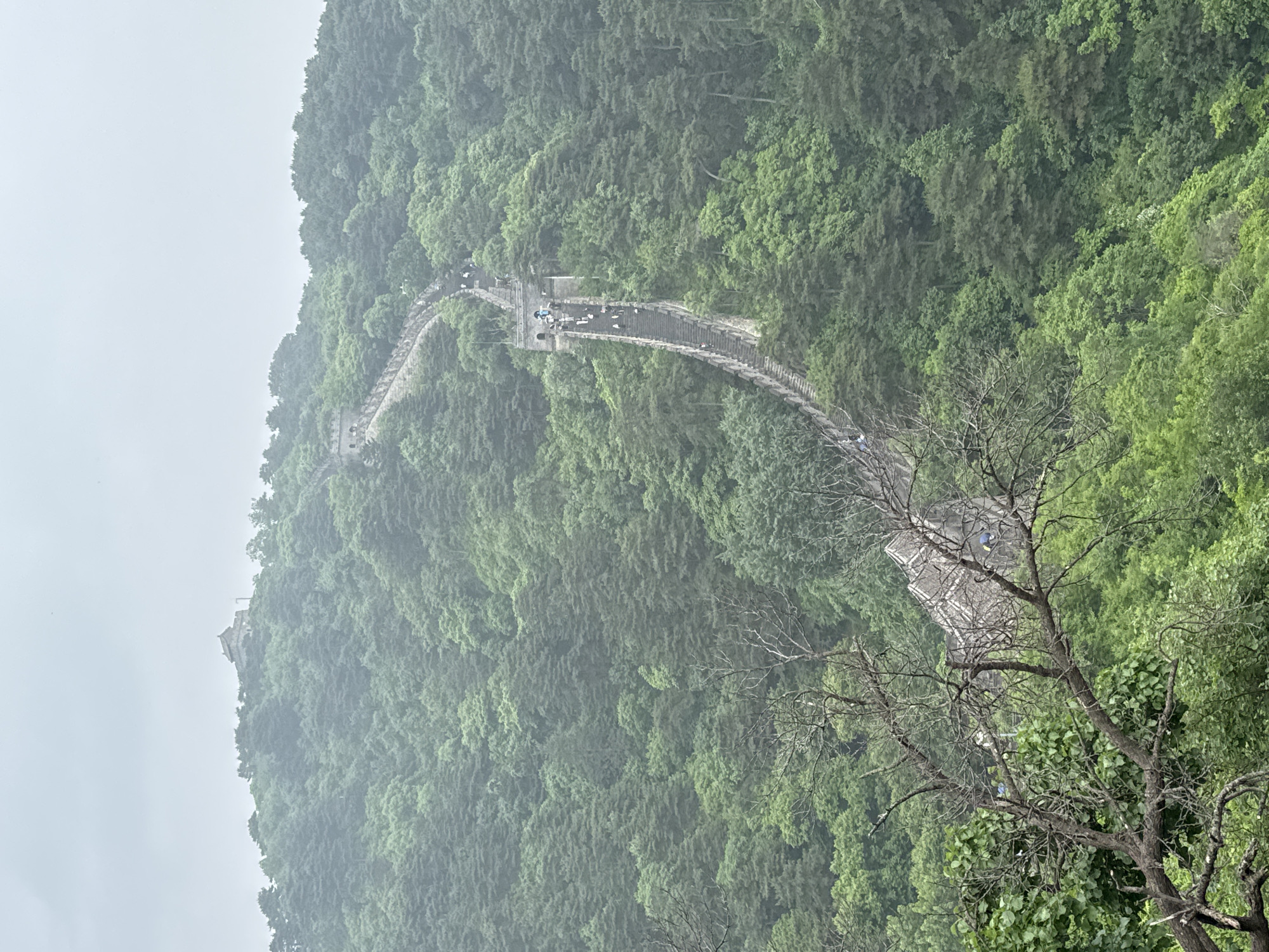 The image shows a section of the Mutianyu Great Wall winding up a steep, densely forested mountain in the Huairou District of China. The wall is constructed of grey stone and has a winding path with steps. There are people walking along the wall. The surrounding environment is lush green with vegetation covering the slopes of the mountain. A bare tree with few leaves is in the foreground. The sky appears overcast and hazy, potentially indicating foggy conditions.