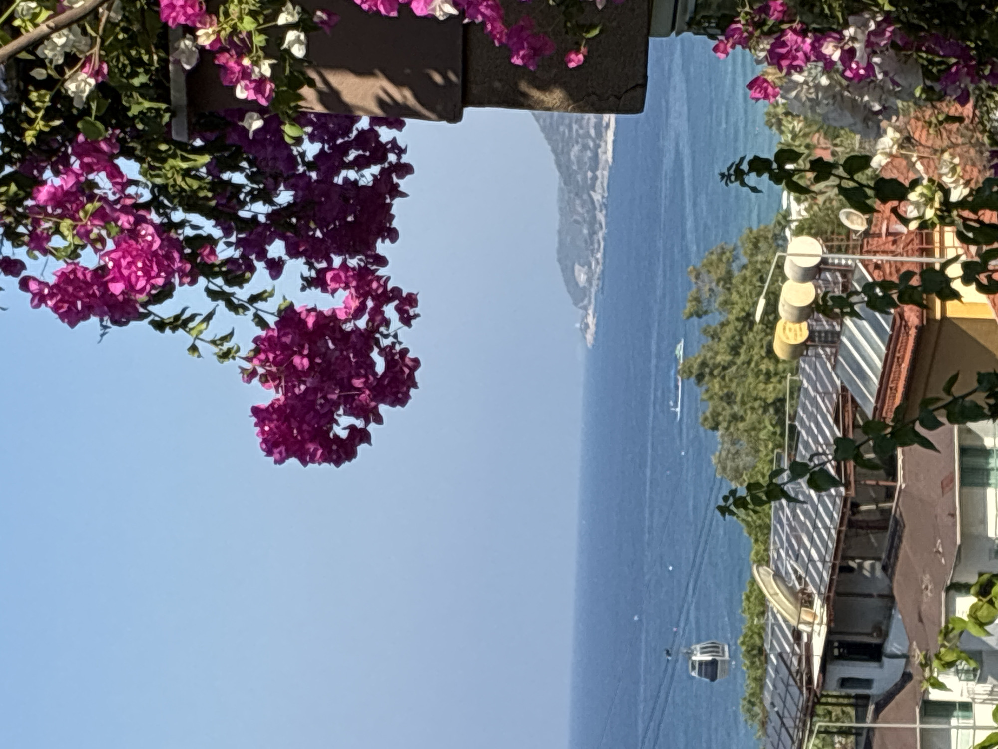 This is a photograph taken from an elevated perspective overlooking the sea in Alanya, Turkey. In the foreground, vibrant pink bougainvillea flowers cascade downwards, partially obscuring the view. Beyond the flowers, the deep blue sea stretches to the horizon, meeting a clear, light blue sky. A cable car is visible suspended over the water, and in the distance, a coastal landscape with hills and buildings can be seen. Below the sea, there are several buildings with tiled roofs, some of which are equipped with solar panels. The overall scene depicts a sunny day in a coastal city, characterized by natural beauty and urban infrastructure.