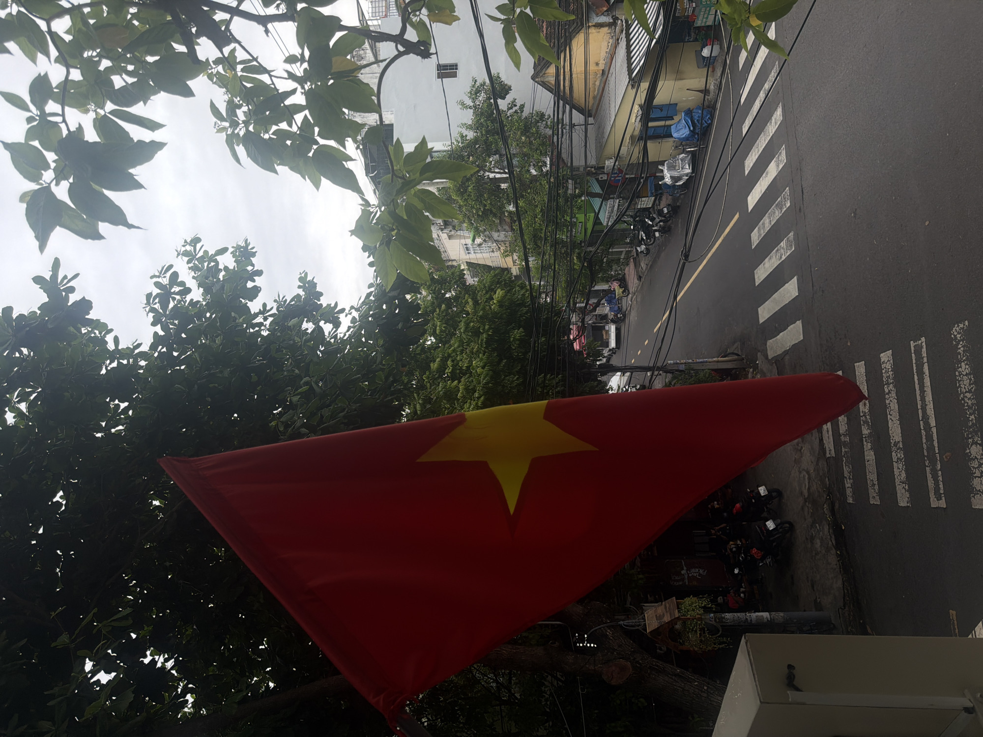 The image captures an elevated view of a bustling street scene in what appears to be a Vietnamese urban environment, specifically Nha Trang Ward. In the foreground, a large, vibrant red flag of Vietnam with a central yellow star is prominently displayed, partially unfurled and pointing towards the street. Lush green foliage from surrounding trees frames the top left and bottom of the frame, suggesting a treelined street or a view from a balcony overlooking greenery.
The street below, dark asphalt with clear white crosswalk stripes and a yellow median line, stretches into the distance, populated by a mix of buildings, vehicles, and utility poles. Overhead, a dense network of electrical wires crisscrosses the sky, a common characteristic of many Southeast Asian cities. Along the roadside, numerous motorcycles and scooters are parked, indicating a typical mode of transport. One person on a bicycle is visible, adding a sense of everyday activity.
The buildings lining the street are multi-storied, some with white or light-colored facades, others showing signs of commercial activity with awnings and signs, though specific text on these signs is largely unreadable due to distance and resolution. The sky appears overcast, suggesting a cloudy daytime, but no direct sunlight is visible. The scene conveys a sense of daily life and urban dynamism, characteristic of a Vietnamese city. No discernibly readable text is visible on signs or vehicles within the frame.