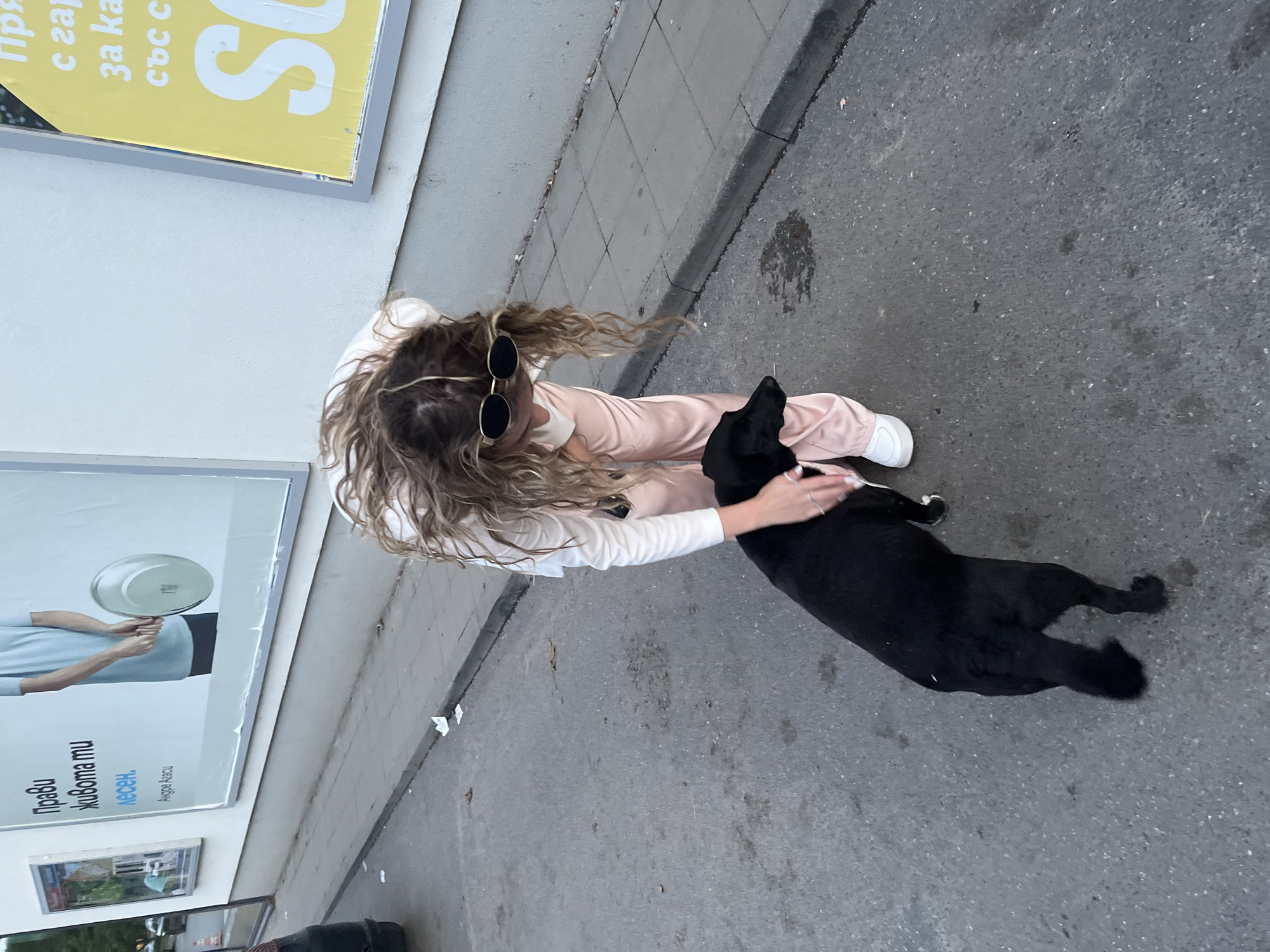 The image, captured from a high angle, shows an outdoor street scene in Blagoevgrad, Bulgaria, featuring a person interacting with a dog. A woman with long, wavy blonde hair and sunglasses pushed onto her head is crouched down, wearing a light-colored long-sleeved top and light pink pants, with white sneakers. Her left hand is gently placed on the back of a black dog, which appears to be lying or sitting on the edge of the asphalt road. The dog is medium-sized and has short black fur.
The setting includes a grey asphalt road and a grey tiled sidewalk. A white building wall runs alongside the sidewalk, featuring two large posters. The upper poster, partially visible and yellow, displays fragmented Bulgarian text such as "Пря", "с гар", "за ка", "със с", and a prominent "OS". The lower white poster shows a person holding a large pan and features Bulgarian text that reads: "Прави живота ти лесен. Андре Агаси," which translates to "Make your life easy. Andre Agassi." The lighting suggests it is daytime, possibly under an overcast sky or during the late afternoon. The interaction between the woman and the dog appears calm and affectionate.