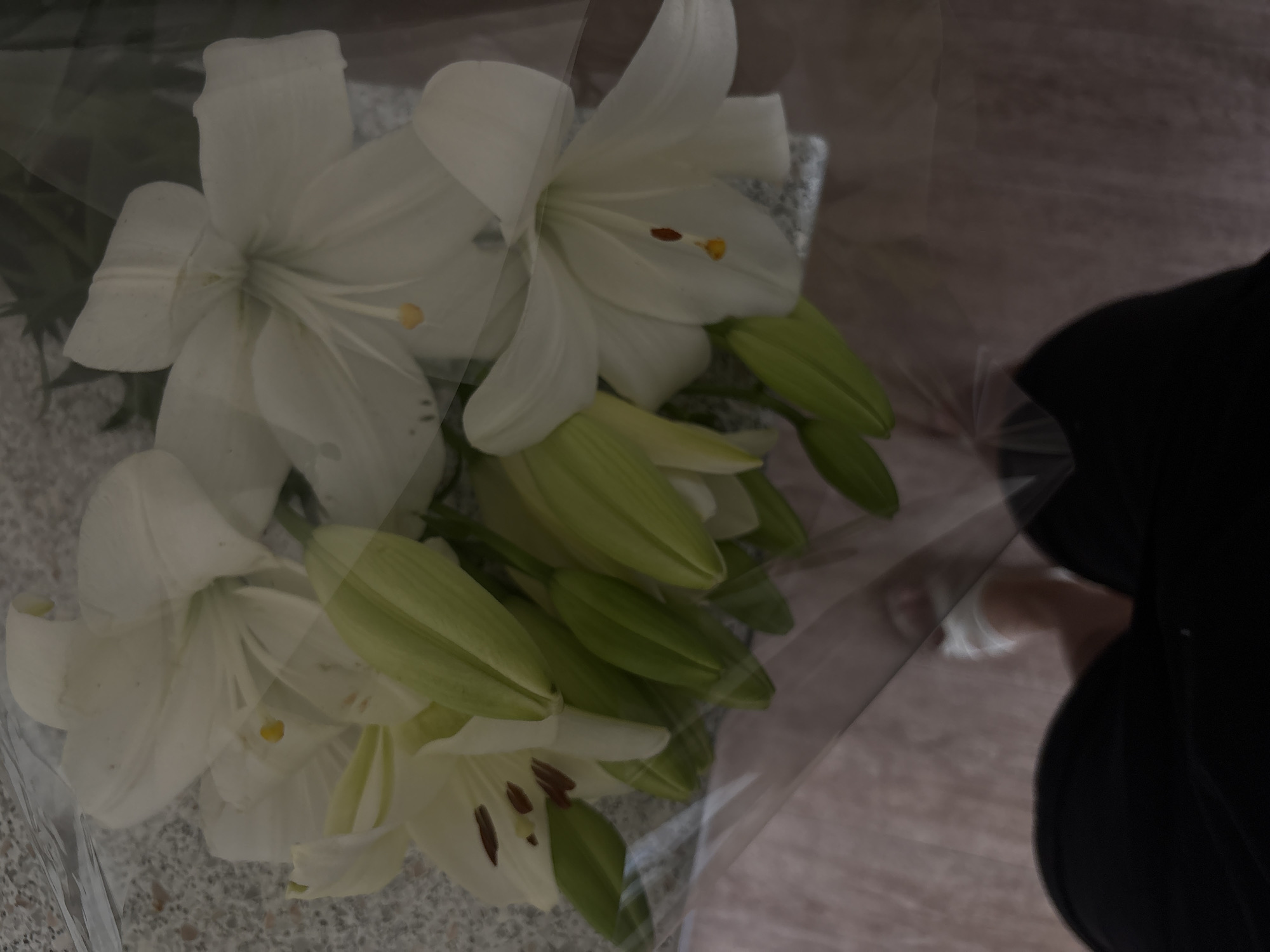 A bouquet of white lilies is presented, with several blooms in various stages of opening and some buds still closed. The lilies are wrapped in clear plastic, which creates a reflective surface that overlays parts of the image. The background is blurred, showing a speckled texture on the left and a wooden floor on the right. In the lower portion of the image, the legs and feet of a person are visible, wearing dark clothing and white sandals. The scene appears to be indoors, possibly a home or a flower shop, with no specific landmarks indicating the city of Rostov-on-Don, Russia.