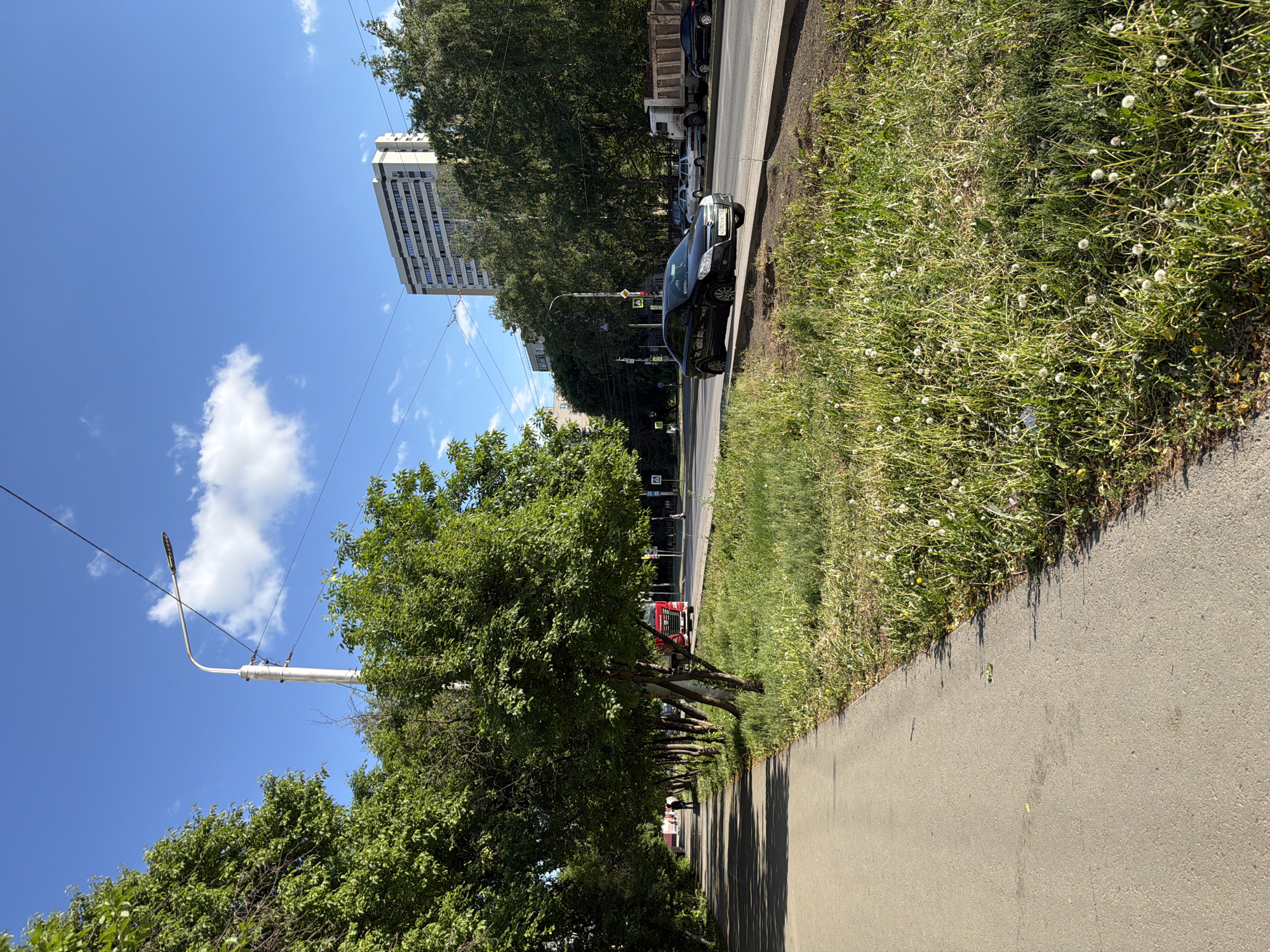 A street scene captured in Unknown, Unknown, shows a sidewalk on the right bordering a strip of overgrown grass interspersed with dandelions. Adjacent to the grass is a road with several parked vehicles. The road leads into the distance, bordered on the other side by trees and a tall, modern building against a clear blue sky with scattered clouds. A lamppost is visible on the left, and power lines stretch across the sky. People are walking on the sidewalk under the trees.