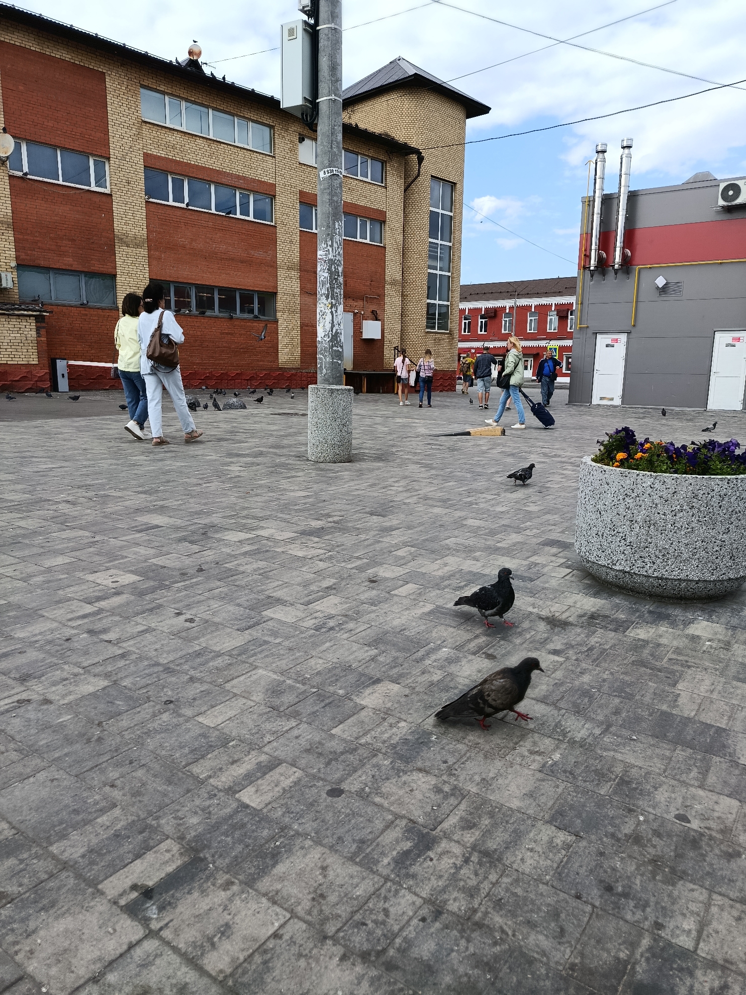 This image depicts an outdoor scene in the city of Orekhovo-Zuyevo, Russia, likely in front of a commercial building. The foreground is dominated by a paved area made of grey interlocking bricks. Several pigeons are visible on the ground, including one in the lower right with its wings slightly spread and another in the middle ground walking. To the right, a large, grey, speckled planter holds a vibrant arrangement of purple and orange flowers.
In the middle ground, two individuals are walking away from the viewer, one wearing a light yellow top and the other a white top with a brown shoulder bag. Behind them, a group of people are walking towards the left. One woman in a green jacket is pulling a dark suitcase with wheels. The background features a multi-story building constructed with red and light yellow bricks, featuring numerous windows. A tall, grey utility pole stands to the right of the brick building, with visible signage attached to it. Further in the background, a modern grey building with red accents and prominent silver ventilation pipes is visible. The sky above is partly cloudy.