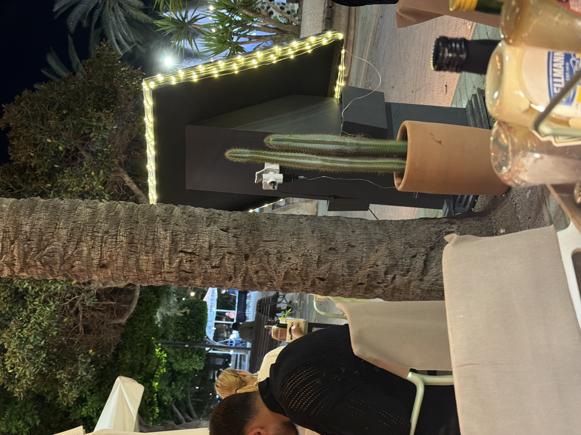 The image captures an outdoor seating area at a restaurant, likely in Sant Antoni De Portmany, Spain, at night. A large palm tree trunk dominates the foreground, partially obscuring the view. To the right of the palm tree, a dark, angled structure is adorned with yellow string lights. A potted cactus with two spiky arms stands in front of this structure. In the background, out-of-focus elements include trees with some fruit visible, another palm tree, and a glimpse of a white canopy. People are seated at tables, with one individual wearing a black, open-knit sweater and another with blonde hair visible from the side. A table in the mid-ground holds bottles and condiments. The overall ambiance suggests a dining setting with festive lighting.