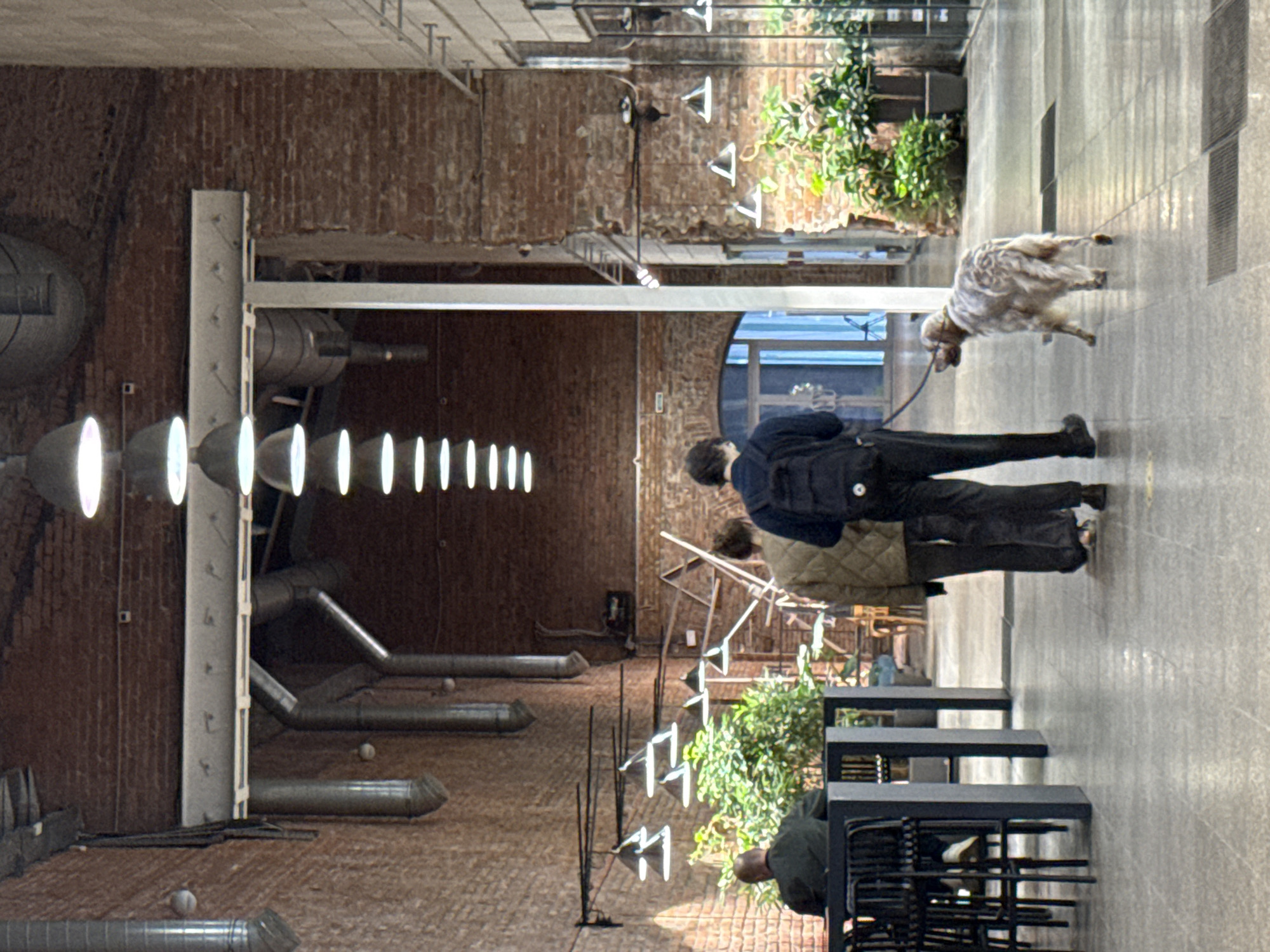 In a modern, industrial-style interior space resembling a large, open-plan hall or atrium, two individuals, a man and a woman, walk away from the camera down a wide, grey tiled corridor. The man, in the foreground, wears a dark hooded jacket and dark trousers, carrying a black backpack. The woman, beside him, is dressed in a light-colored quilted jacket and dark trousers. They are walking a dog, a medium-sized breed with speckled fur, on a leash.
The environment is characterized by exposed brick walls, high ceilings with industrial ventilation pipes and numerous hanging light fixtures. Several large potted plants are strategically placed throughout the space, adding a touch of greenery. To the left, a person is seated at a table with chairs. In the background, an arched doorway leads to an area with more plants and furniture. The overall impression is one of a contemporary, somewhat austere urban environment.