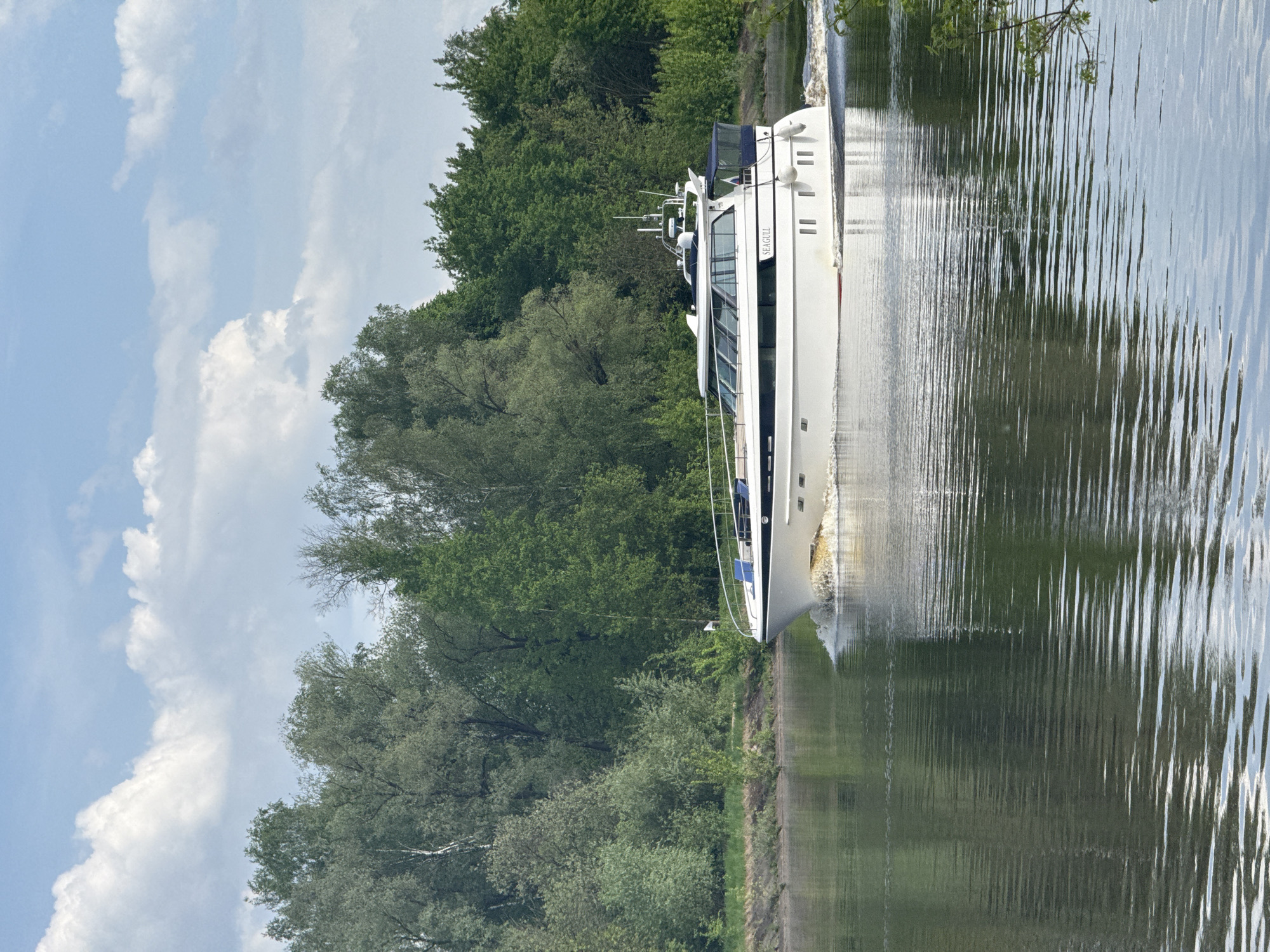A horizontal, outdoor shot shows a river with a yacht underway, adjacent to tree-lined shore; the sky is partly cloudy. The river's surface ripples, reflecting the trees and sky, with the boat's wake visible. The yacht is white, with multiple decks and visible windows. The trees are mostly green, with varying heights and densities. The sky features a light blue backdrop with scattered white clouds. The location is likely the city of Dmitrov, Russia, based on visual cues associated with the landscape and architectural styles common in that region. However, the image provides no explicit evidence confirming the location. No people are visible.