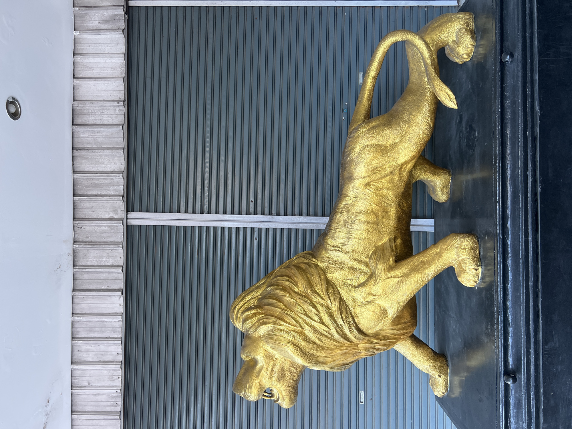 A life-sized golden lion statue is positioned on a dark platform in front of a closed, gray corrugated metal roller door. The statue is facing left, with its mouth open and head raised. The lion has a prominent mane and tail, with a textured surface that mimics fur. Above the roller door, a metal trim runs horizontally, and a light-colored, slightly weathered ceiling is visible at the top of the frame. The scene appears to be outdoors, possibly in front of a storefront or building in Tlogoadi, Indonesia, given the context. There are no people or any interaction occurring in the image.