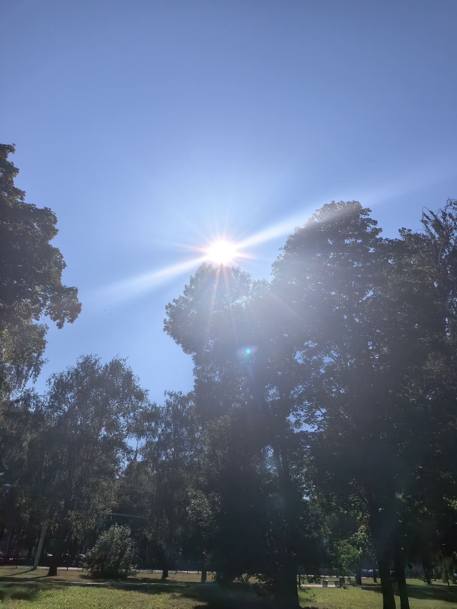 The image depicts a bright, sunny day in a park, likely in Sterlitamak, Russia. The sun is high in the clear blue sky, with its rays radiating outwards, creating a lens flare effect. Tall, leafy trees frame the scene from the left, top, and right, with their dense foliage partially obscuring the sky. Some of the trees appear to be deciduous, given their lush green leaves. In the lower portion of the image, a grassy area is visible, with a path or road in the background, and benches can be faintly seen under the trees. The overall impression is a serene park setting on a summer day, with the bright sunlight illuminating the scene. No people are discernible in the image.