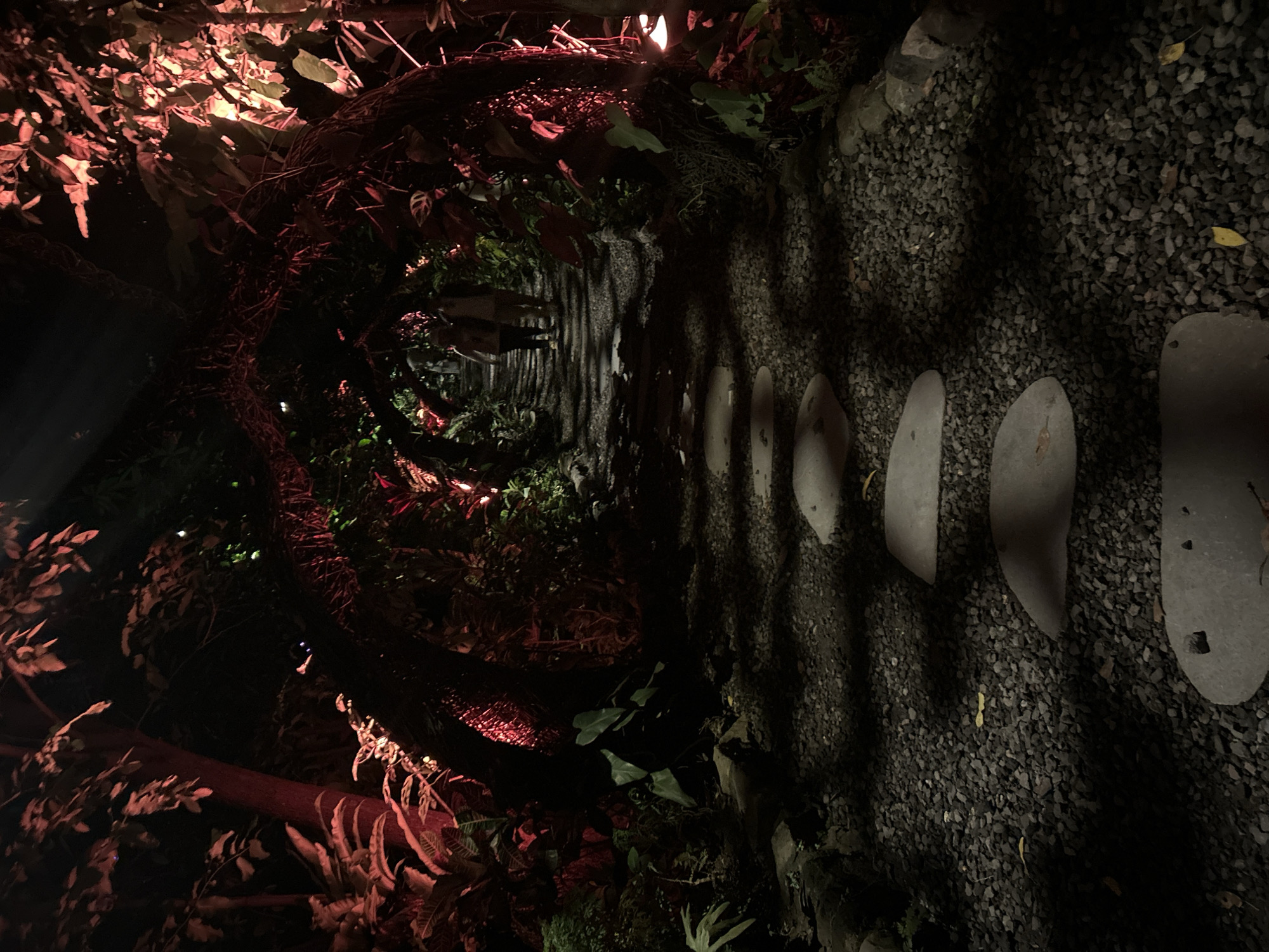 A pathway formed by stepping stones set in gravel curves through an archway created by intertwined branches and foliage. The scene is dimly lit, with red lighting casting an eerie glow on the vegetation. Two figures, their identities obscured by distance and shadow, walk away from the camera along the path. The surroundings suggest a garden or park setting, likely at night, with dense plant life and trees forming a natural tunnel. The exact location in Kediri, Indonesia, is not discernible from the image itself.