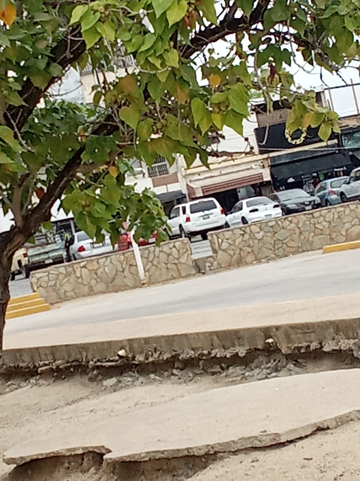 The image shows a street scene in what is likely Juan Griego, Venezuela. In the background are several parked cars, including white and silver vehicles, along with some buildings with awnings. A low, stone-faced wall lines part of the street. In the foreground, the pavement is uneven and broken, with exposed layers of concrete. A tree with green and yellowish leaves is prominent on the left, partially obscuring the view. The sky appears overcast. There are no people visible in the frame.