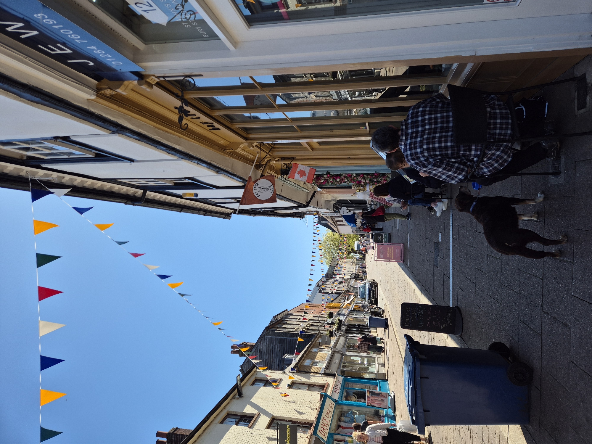 This vibrant, vertically oriented photograph captures a bustling pedestrian street scene, likely in West Suffolk, United Kingdom, given the visible location cues. The street is lined with traditional buildings housing various shops and cafes, illuminated by bright sunlight under a clear blue sky.
Numerous strings of colorful triangular bunting are strung across the street, adding a festive touch. Several individuals are present; in the foreground on the right, a person in a plaid shirt is seated at an outdoor table with another person, possibly a child. Nearby, a dark-colored dog stands on the pavement. Other people are visible further down the street, walking or gathered near shopfronts.
Notable objects include a blue wheelie bin, various display boards for businesses, and outdoor seating. A Canadian flag is displayed outside a building, next to a flag for "Bay Tree Cafe."
Visible text and signage provide specific details:
- A prominent sign reads "J.E.W." with the phone number "01284 760193."
- Shop windows display "ST JOHN'S" and "BURY ST ED MUN," strongly suggesting Bury St Edmunds, West Suffolk. The number "12" appears on a window and sign.
- The "Bay Tree Cafe" display board details opening hours: "Mon-Fri: 10-4pm," "Sat: 10-3," "Sun: 10-3," and invites patrons to "Try our amazing Specialities!"
- Other partially visible shop names include "Converters," "DANCE CRAZY PARTY," and "BIMBO'S."
The clear sky and sharp shadows indicate a sunny day, likely morning or early afternoon, with a relaxed and inviting atmosphere on the street.