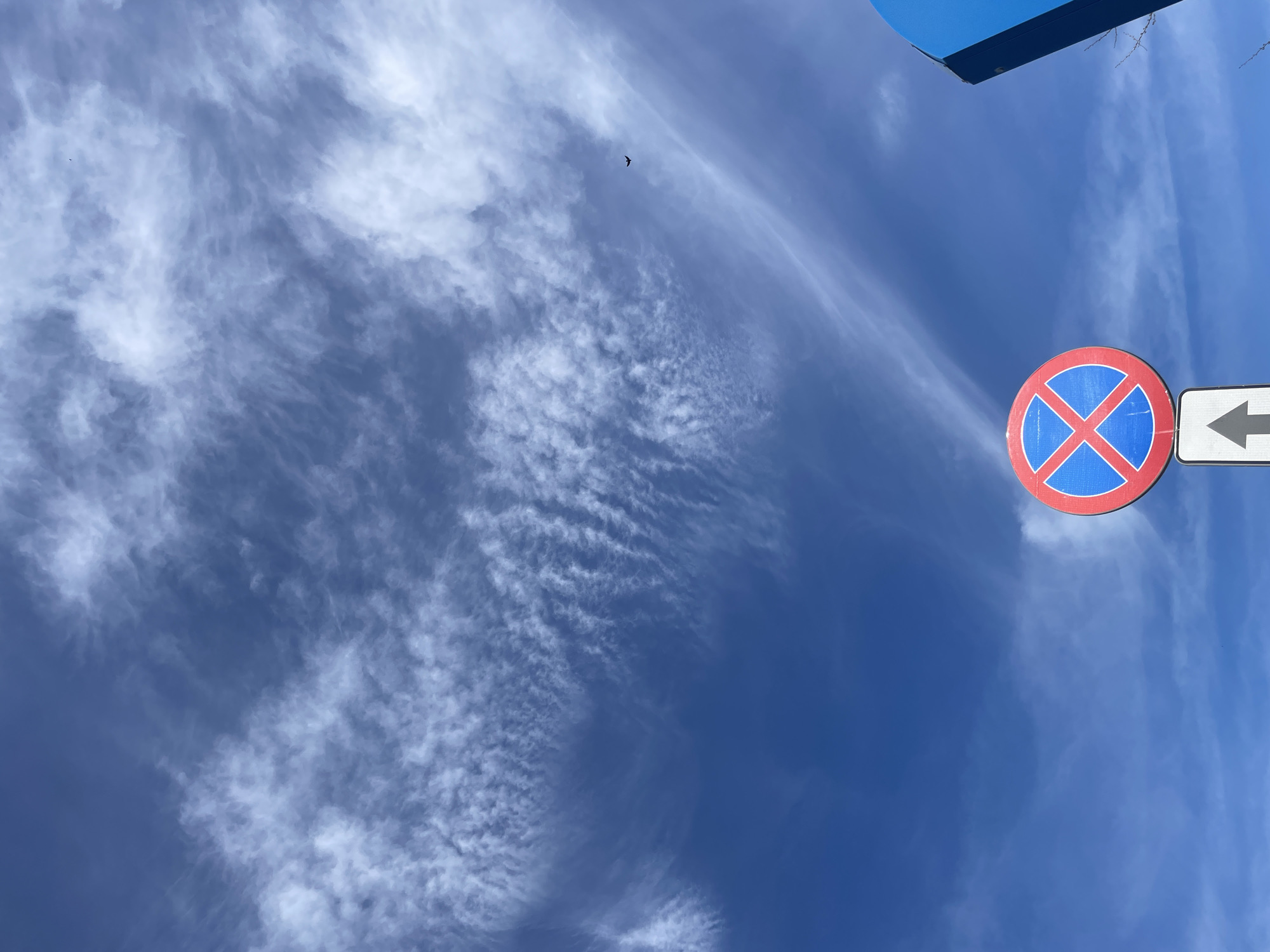 The image shows a view of a blue sky with cirrus clouds. A "No Stopping" road sign is visible in the lower right, with a red circle, a blue background, a red "X", and an arrow pointing left. A bird is flying in the upper left quadrant of the image. The location appears to be outdoors, in a city, based on the presence of the road sign. A blue object is visible in the upper right quadrant of the image.