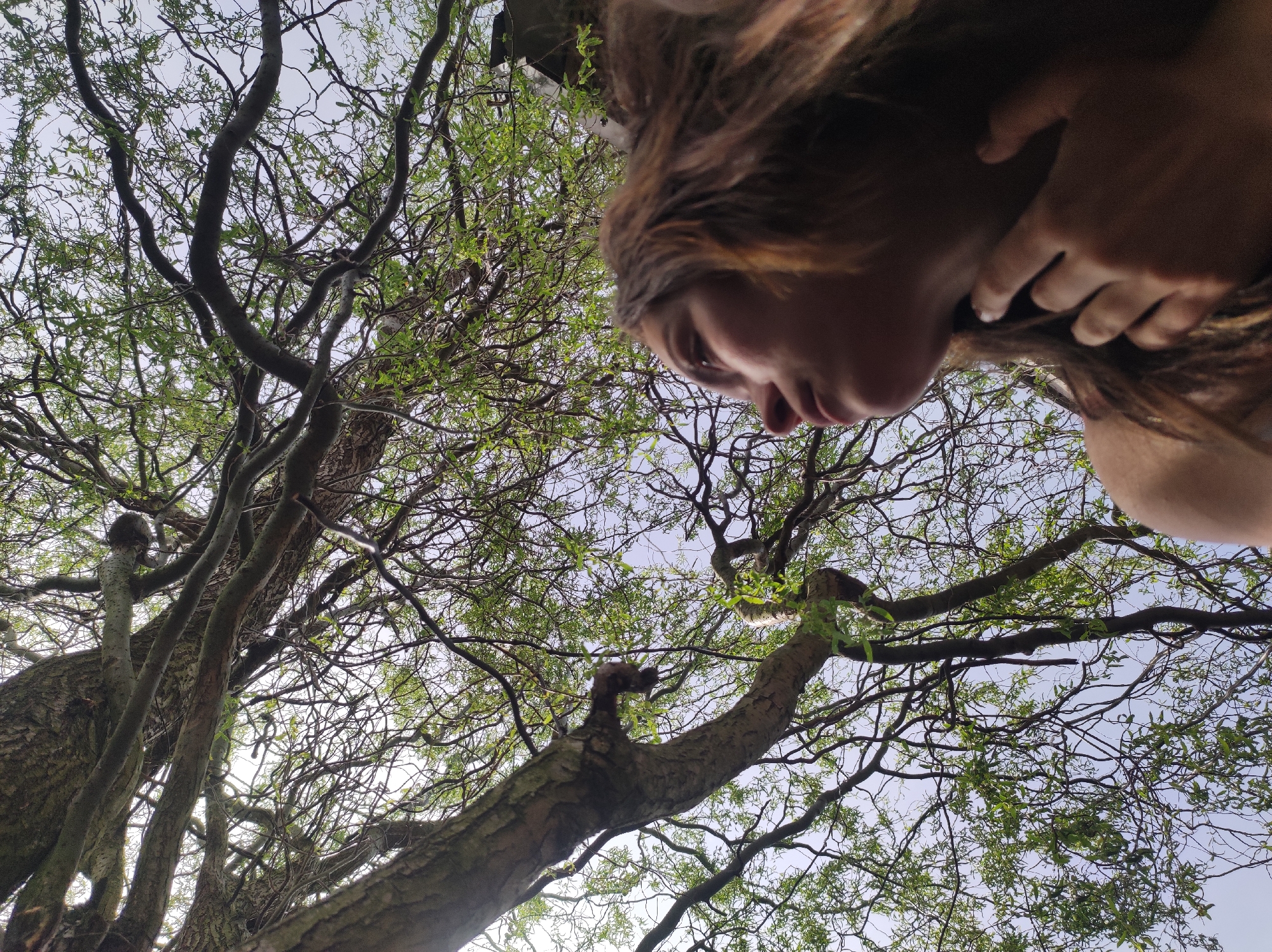 The scene is an upward-angle shot that includes a person and a tree. The individual, appearing to be a fair-skinned female, is positioned in the upper right of the frame, looking downward. Her face is turned to the left, and her hand is near her neck.
Below her, and occupying a significant portion of the frame, is a tree with a complex network of branches extending towards the sky. Small green leaves are sparsely distributed among the branches. The sky is light blue.
The specific location is not discernible from the image. The city given, Фоки, Russia, cannot be confirmed from visual elements in the photograph.