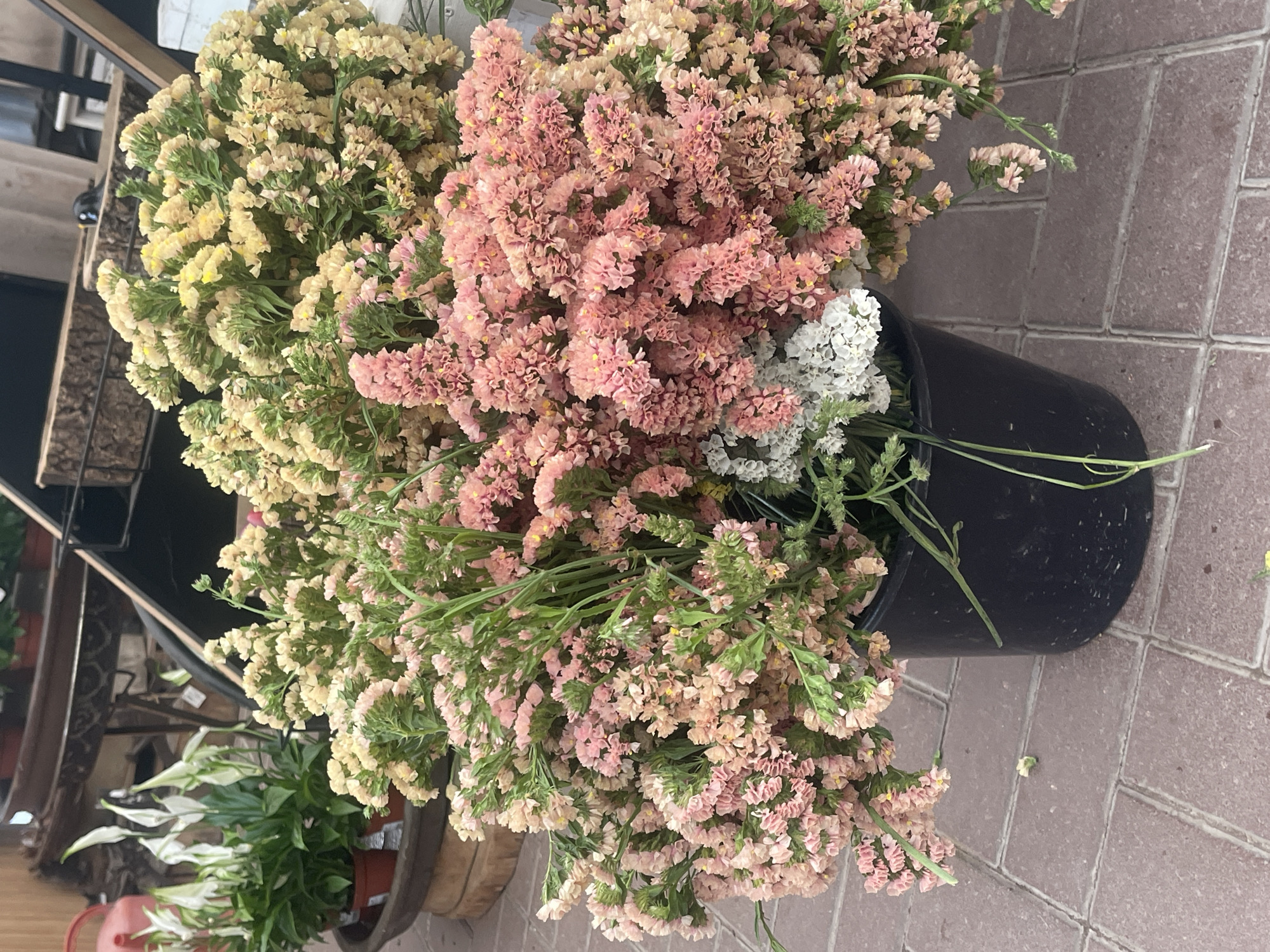 In Colares, Portugal, a black bucket overflowing with an assortment of dried flowers sits on a reddish-brown brick paver pathway. The flowers are predominantly a soft pink, with clusters of lighter pink, pale yellow, and white blooms mixed in. Some greenery is also visible among the dried flowers. To the left of the bucket, partially visible, are potted plants with white flower-like spathes and green leaves, set within a dark, circular planter. The background reveals shelving units and decorative elements, suggesting an outdoor market stall or garden center. The lighting indicates it is daytime.