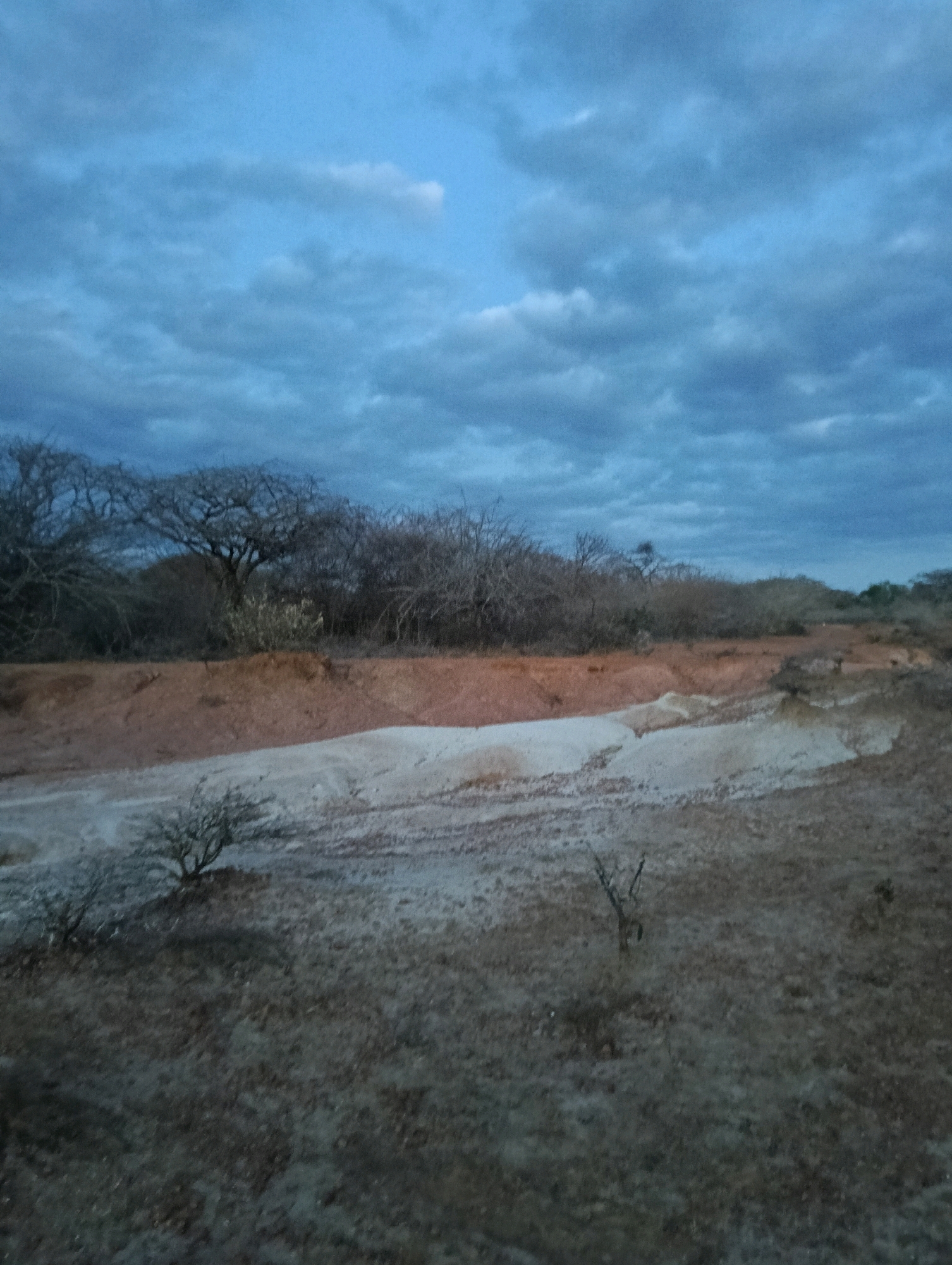 The image depicts a natural landscape under a cloudy sky. The foreground is a dry, barren ground covered with sparse vegetation. Moving towards the midground, there is a terraced section of land with distinct layers of soil, featuring reddish-brown earth above lighter, sandy or clay-like material. In the background, a dense line of bare trees and shrubs forms a treeline against the horizon. The overall impression is of a dry, semi-arid environment. The location is described as Mutitu/Kaliku ward, Kenya.