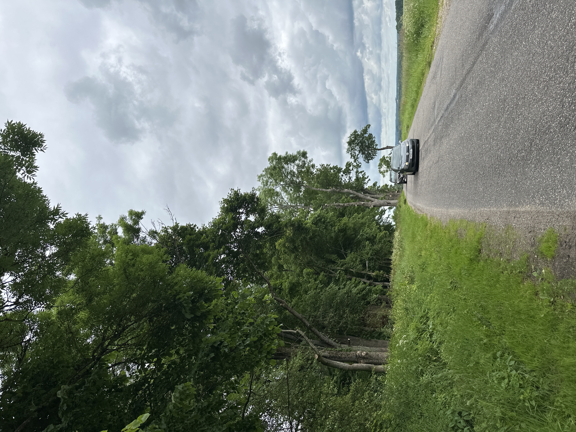 A grey car with a license plate starting with "EB 60 CC" drives on a paved road under a cloudy sky in the village of Khatsynchytski Sel'ski Savet, Belarus. The road curves to the right, bordered by a lush green grassy verge on the left and a field on the right. A line of trees with dense green foliage runs along the left side of the road, with their branches extending over the grass. In the distance, the sky is filled with dramatic grey and white clouds, hinting at impending rain. The overall scene depicts a rural landscape during a cloudy day.