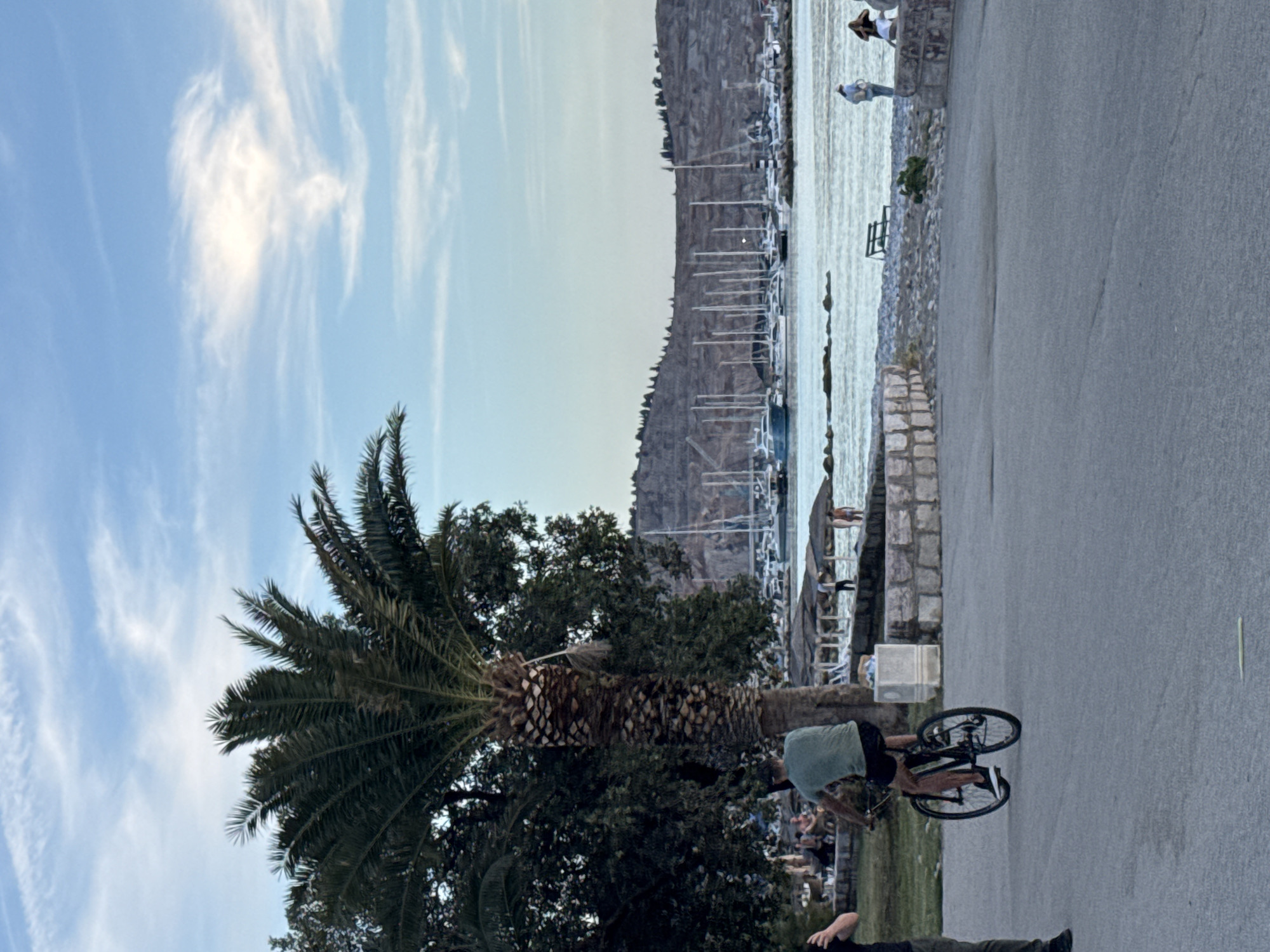 The image depicts a coastal scene in Bar, Montenegro, likely during late afternoon or early evening, characterized by soft natural light. In the immediate foreground, a grey paved surface occupies the lower half of the frame. A single long, thin, pale yellow object lies horizontally on this surface towards the bottom right.
In the mid-ground, a man wearing a green short-sleeved shirt and black shorts rides a dark-colored mountain bike away from the viewer, moving left to right across the paved path. To the left of the cyclist, a partially visible individual in dark clothing stands with their left arm raised, holding what appears to be a phone or camera. A large palm tree with a thick, textured trunk and dark green fronds stands prominently on the left side of the frame, partially obscuring other dense green foliage behind it. Underneath these trees, several individuals are visible, some seated at tables or on benches, engaged in social interaction. Adjacent to the paved path and the palm tree, a low stone wall and a white stone planter are visible.
Beyond the paved area and foreground elements, a rocky or pebble beach extends to a calm body of water, likely the Adriatic Sea. On the beach, a dark-colored wooden bench faces the water. Two individuals stand near the water's edge on the right; one in a light-colored top and backpack, and another with dark hair in a dark top. Further right, beach umbrellas are visible.
Across the body of water, numerous boats and yachts are docked in a marina, their masts extending upwards against a backdrop of distant, rugged hills or mountains. The hills are sparsely vegetated with dark trees along their crests. The sky above is light blue with scattered, wispy white clouds.