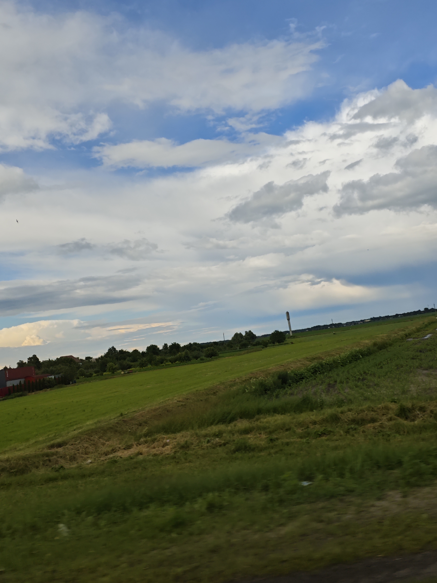 The image depicts a rural landscape under a cloudy sky, likely within the Красненскі сельскі Савет, Belarus. In the foreground, a grassy field slopes upwards and to the right, with visible textures of dried grass and vegetation. Further up the slope, a larger expanse of green field stretches across the middle ground. On the left side of this green field, a red-roofed building with a white facade and a row of red fencing is visible amongst trees. In the background, a line of trees forms a distant horizon, punctuated by a tall, slender structure resembling a water tower or radio mast. The sky is a mix of blue patches and white and gray clouds, with a bird in flight visible in the upper left portion of the image. The overall impression is one of a peaceful, agricultural setting.