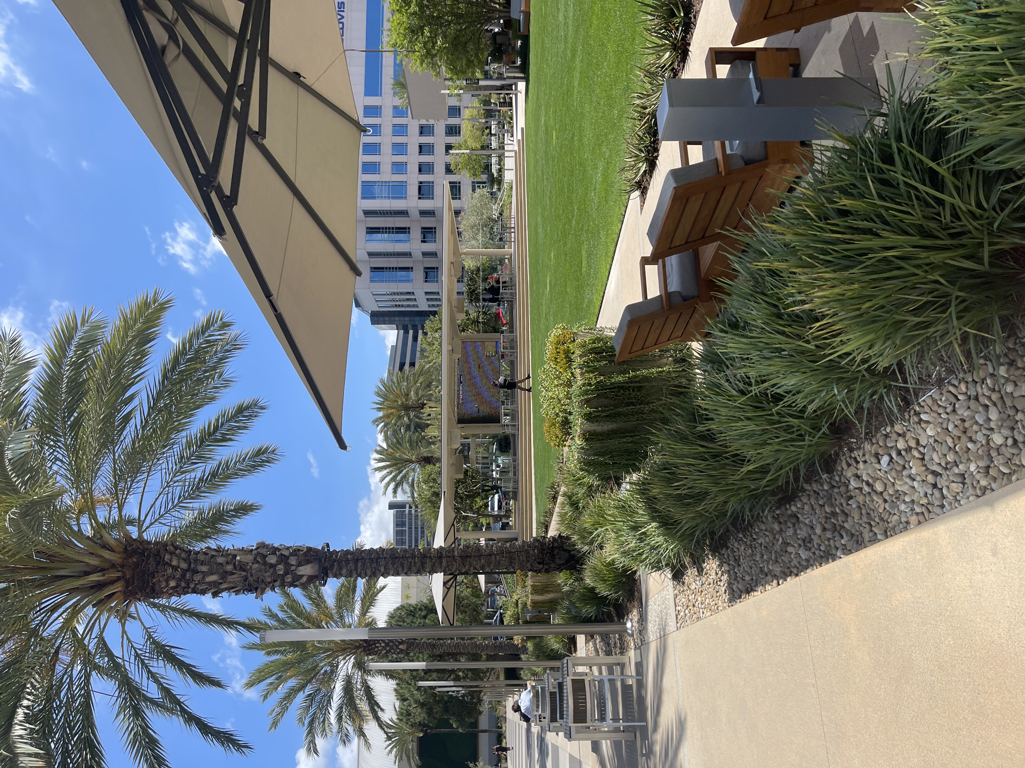 The image shows an outdoor area in Irvine, California, United States, possibly a public space or park. The view is taken from a lower angle, looking up and across the scene. A large palm tree and a white sunshade are prominent in the foreground on the left, partially obscuring the sky, which is blue with scattered clouds.
The central area of the image features a green lawn bordered by planted areas with decorative stones. There are several rows of outdoor seating arrangements, including benches and chairs, situated along the side of the lawn.
In the background, there are modern buildings with glass facades. People can be seen in the distance. The area seems to be well-maintained and designed for leisure and recreation.