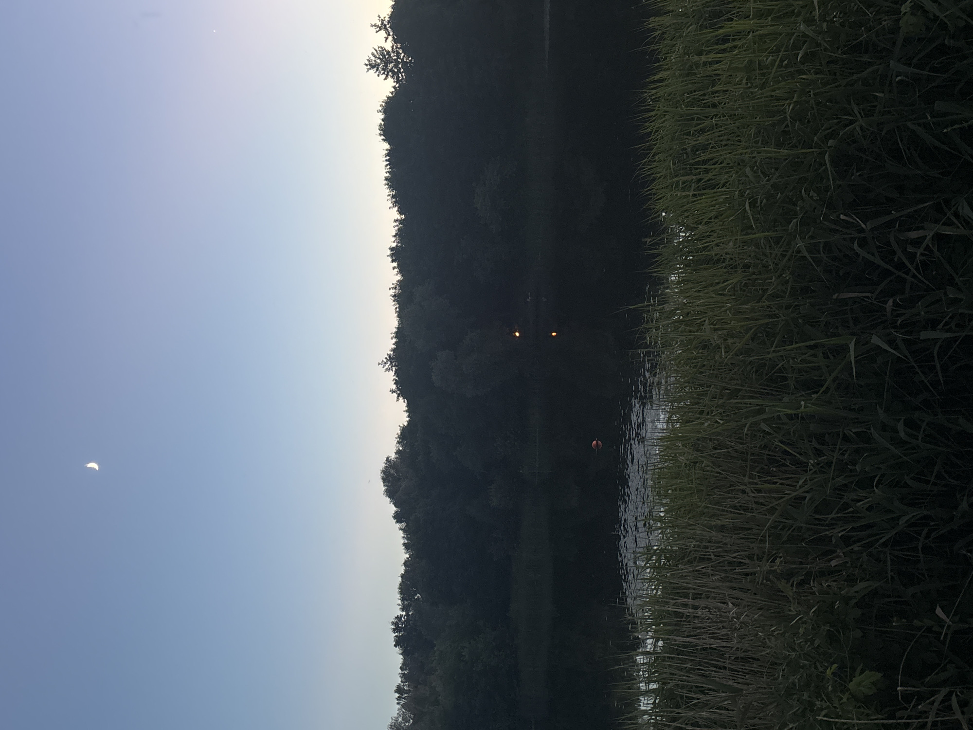 The image depicts a serene twilight scene at a body of water, possibly a lake or river, bordering a dense forest. The sky is a gradient of pale blue to light purple, with a sliver of the moon visible in the upper left quadrant. In the foreground, tall reeds and grass grow along the water's edge, with some appearing to be partially submerged. The water itself is dark and reflective, mirroring the silhouetted treeline. Two faint, warm lights are visible on the water's surface in the distance, possibly from distant structures or boats. A small, orange buoy is also visible on the water to the right of center. The overall impression is one of tranquility and natural beauty during the transition from day to night. The location is not specified within the image itself, and there is no indication of Bila Tserkva, Ukraine.