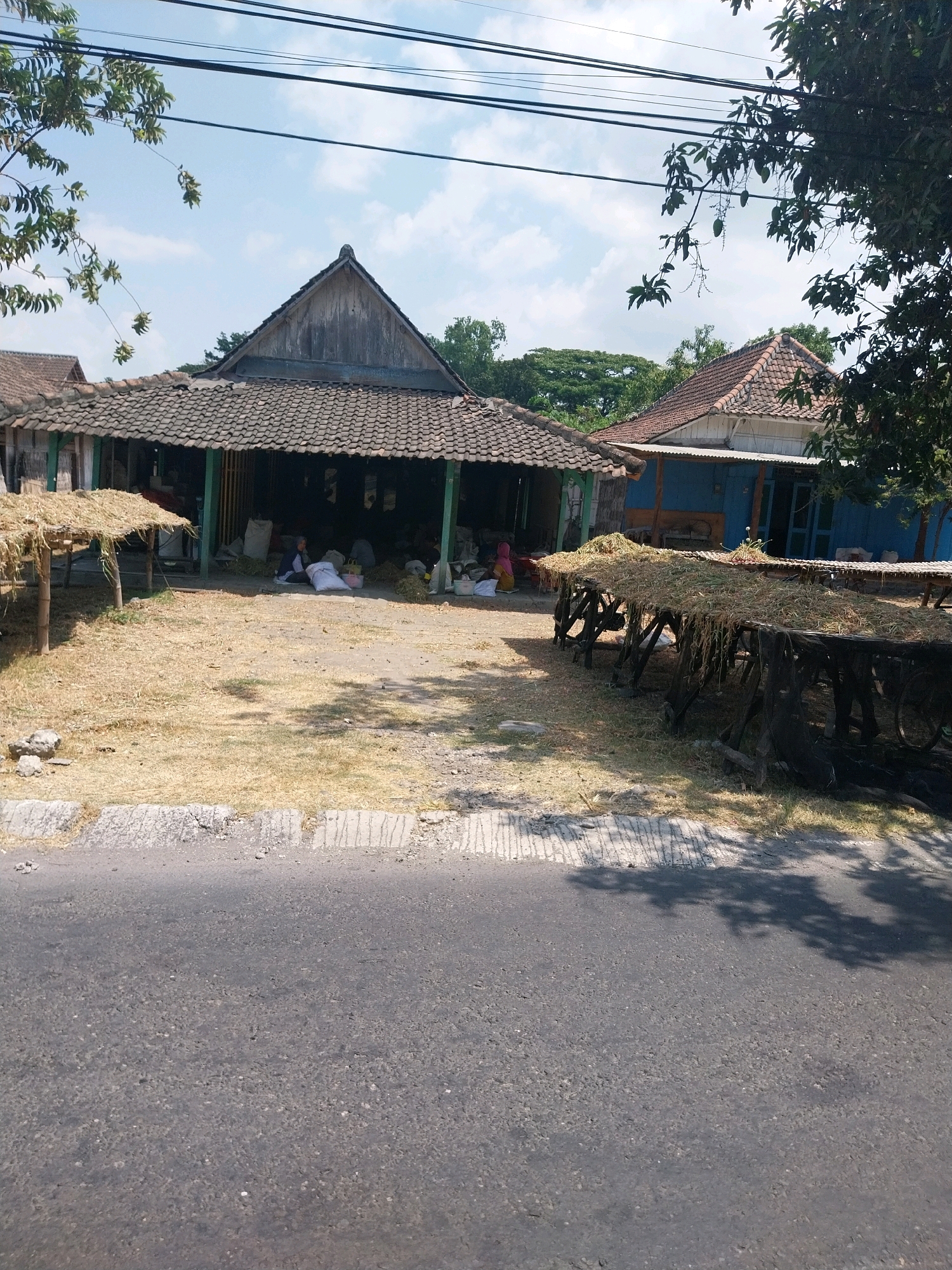 The image depicts a street scene in Campur, Indonesia, featuring two traditional-style houses and a road in the foreground. The house on the left has a dark, tiled roof with a wooden, open-sided structure extending in front, covered by a straw-like material supported by wooden posts. Inside this open structure, several large white sacks are visible, and two individuals are present, one appearing to be sitting and tending to the sacks, the other in a seated position.
To the right of the first house, another house is visible with a red-tiled roof and a blue painted facade, featuring a porch with wooden posts. In front of this blue house, there are two low wooden structures resembling tables or racks, both covered with dried vegetation, likely for drying crops or materials. The ground in front of the houses is covered with dry grass and dirt. Overhead, electrical wires are strung across the frame. The road in the foreground is asphalted, with a concrete curb and drainage channel. Tree branches with leaves and some small fruits are visible, casting shadows on the road and ground. The sky is partly cloudy and bright.