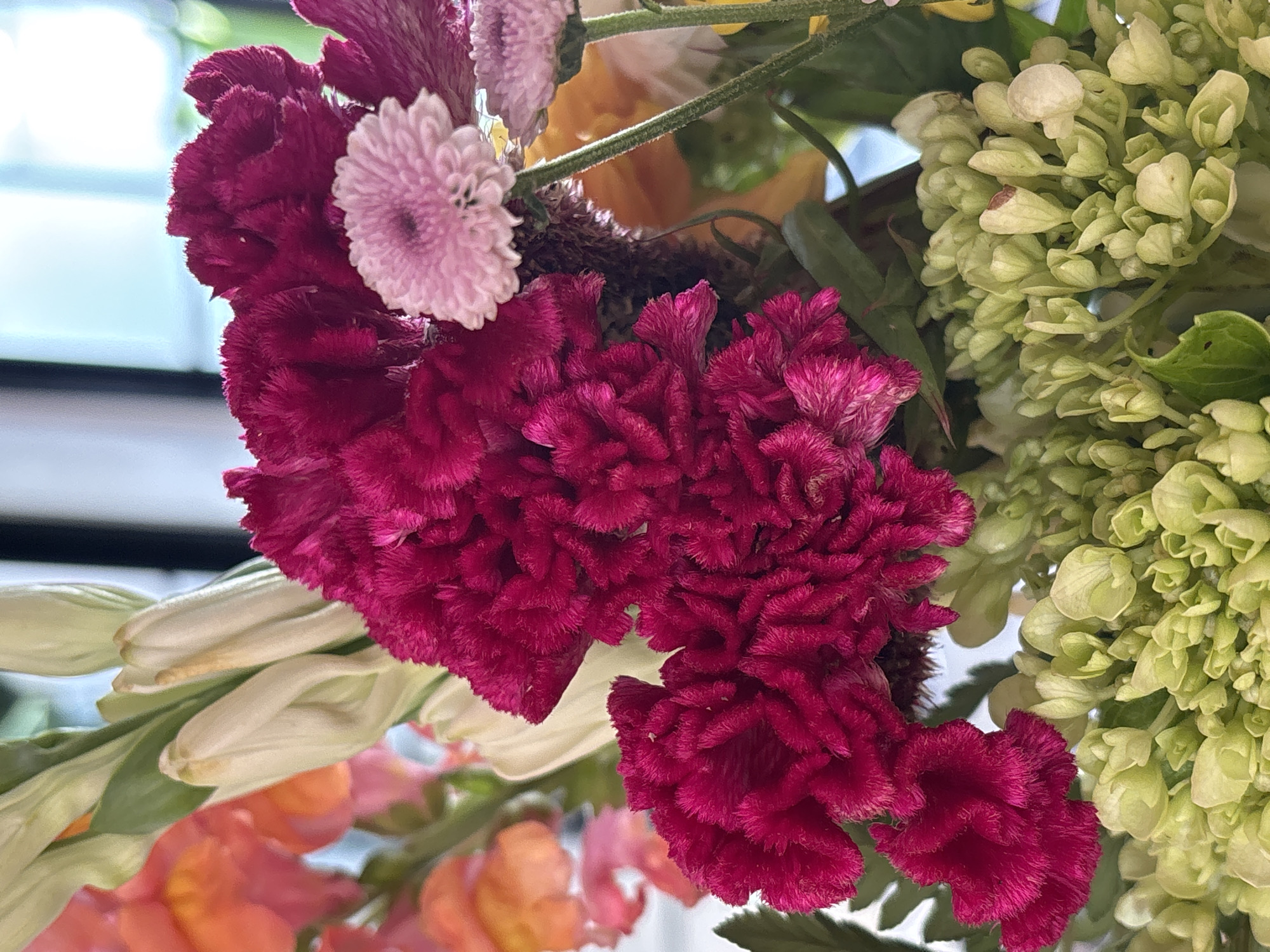 The image shows a close-up of a floral arrangement. Predominantly, there's a cluster of dark pink celosia flowers, which have a distinctive textured, almost velvety appearance. A small, light pink chrysanthemum is nestled among the celosia. To the right, a section of green hydrangea flowers with tightly packed florets is visible. To the left, there are white gladiolus flowers and orange snapdragons. The background shows hints of natural light filtering through what appears to be a window with dark mullions. Given the instruction to include the location of Mengwi, Indonesia, it can be assumed that this floral arrangement is located somewhere in the city, though no information is provided that suggests so directly.