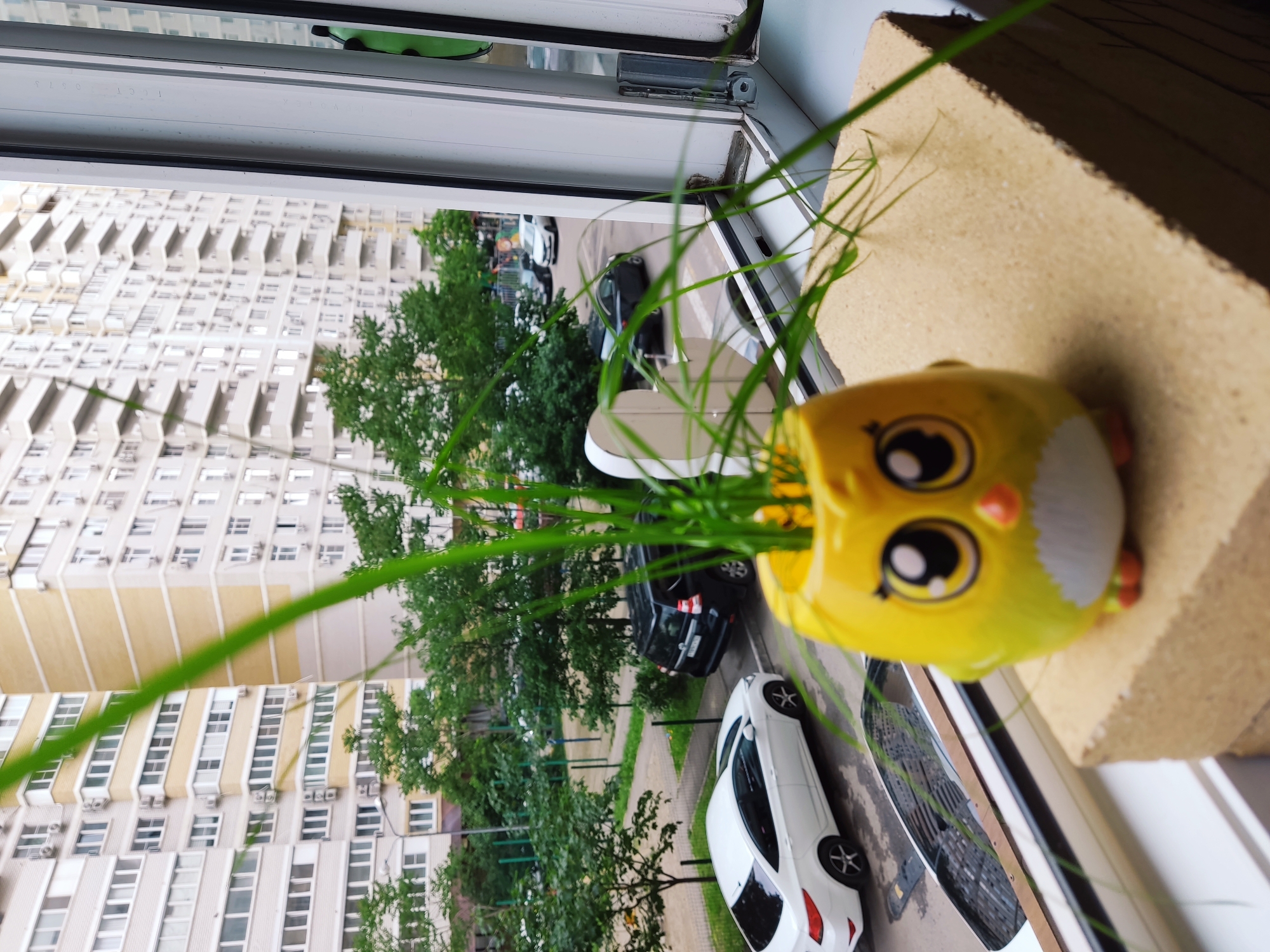 A slightly rotated, high-angle shot from a window of a tall building in Krasnodar, Russia, shows a yellow owl-shaped ceramic pot with green grass-like plants growing from it, sitting on a light beige-colored brick on a window sill. The window, white-framed with visible hinges, overlooks a city street.
Across the street is a tall, light-colored residential building with numerous windows and air conditioning units, indicating multiple apartments. Trees line the street, partially obscuring parked cars, including a white car and a black SUV. A segment of a sidewalk and street can be seen below the trees. The overall lighting suggests it is daytime, and the scene appears to be set in a residential area of Krasnodar.