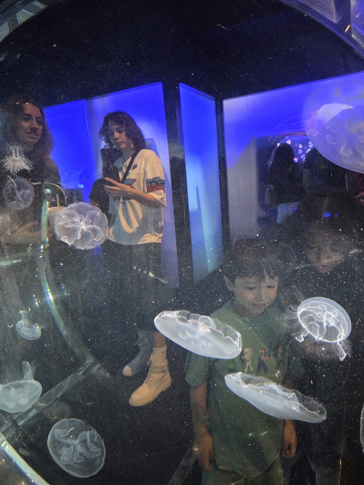 The image depicts an indoor scene, likely an aquarium, featuring several people and numerous jellyfish. Two individuals, a woman with long dark hair and a person with curly dark hair wearing a light-colored t-shirt, are visible on the left side of the frame, looking towards the camera or the jellyfish. On the right side, a young boy in a green t-shirt is closely observing the jellyfish, with another person's face visible behind him. The environment is characterized by large tanks with glowing blue backdrops and numerous transparent jellyfish with visible internal structures floating in the water. The overall impression is one of people viewing marine life in a dimly lit setting, with the jellyfish illuminated and appearing ethereal. The scene is likely from the Long Beach Aquarium of the Pacific, a popular attraction in Long Beach, California.