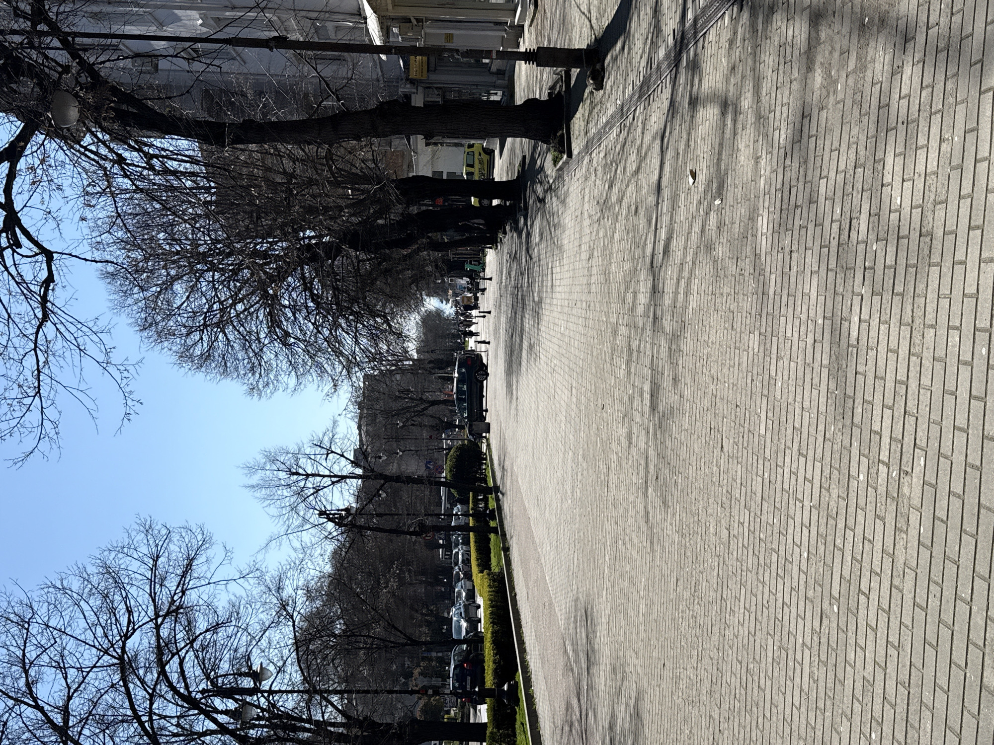 The image depicts a street in Varna, Bulgaria, lined with bare trees. A wide sidewalk is constructed of light-colored rectangular pavers. Tree shadows stretch across the sidewalk. On the left, a line of trees separates the sidewalk from a narrow strip of greenery, beyond which vehicles are parked along the curb. In the distance, more trees and buildings can be seen. The sky is light blue and clear.
