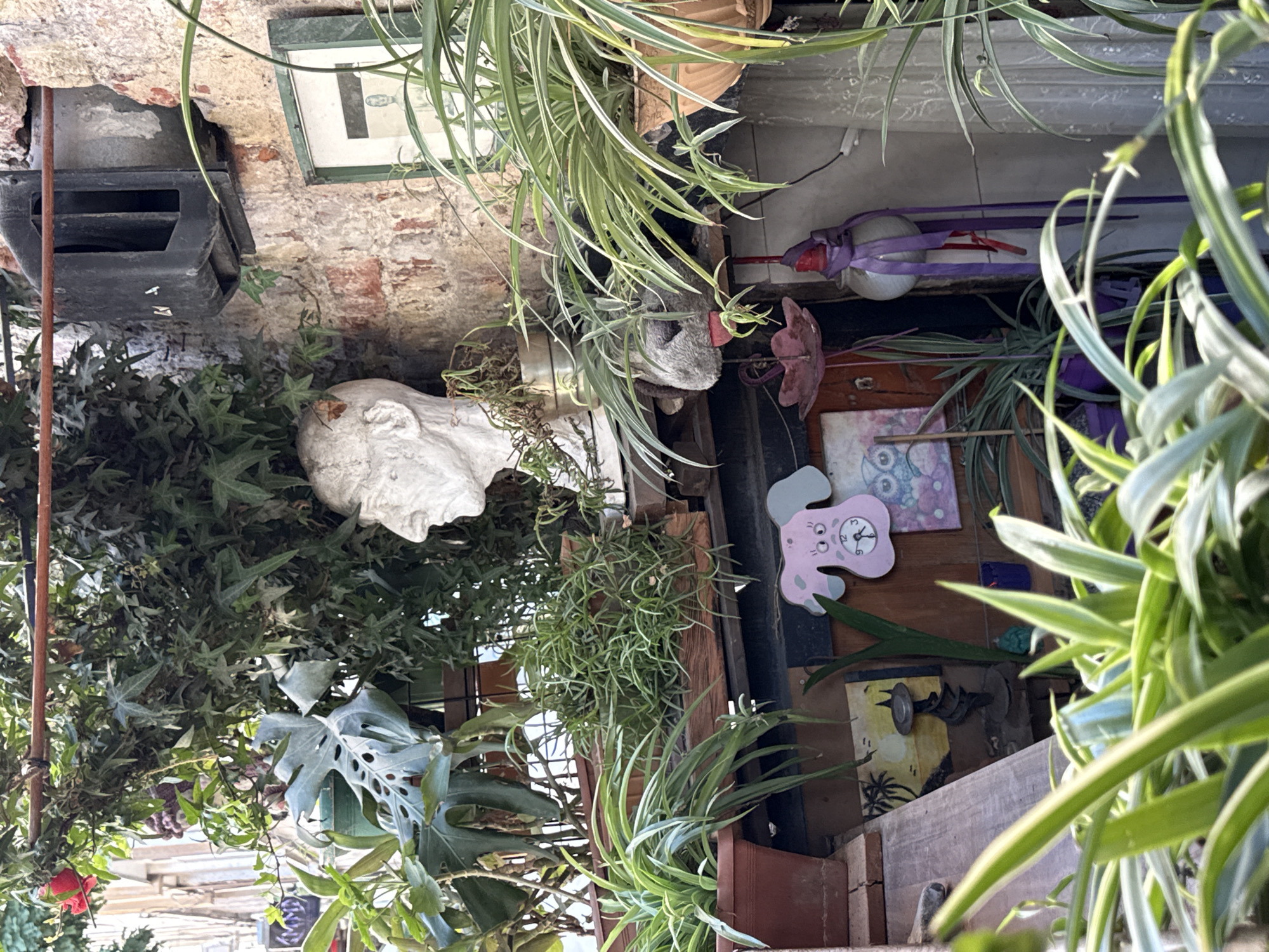 The image depicts a cluttered outdoor space, likely a balcony or small yard, filled with numerous potted plants. In the background, a bust of a person's head, made of white material, is visible amidst the greenery. Behind the bust and to the right, a weathered brick wall is prominent, with a dark, possibly metal, fixture mounted on it. A framed picture or poster with a dark border and lighter interior is also hanging on the wall.
The foreground is dominated by lush green plants with long, slender leaves, some of which are out of focus. Various other plants are interspersed throughout the scene, in different sized pots. Decorative items such as a pink dog-shaped clock, a small painting of a tropical scene with palm trees, and a pink flower-shaped ornament are visible. A spherical object with purple ribbons tied around it hangs on the wall to the right. The overall impression is one of an overgrown, eclectic, and somewhat bohemian collection of plants and decorative items, set against a rustic brick backdrop. There is no indication of the city of Kadıköy, Turkey in the image itself.