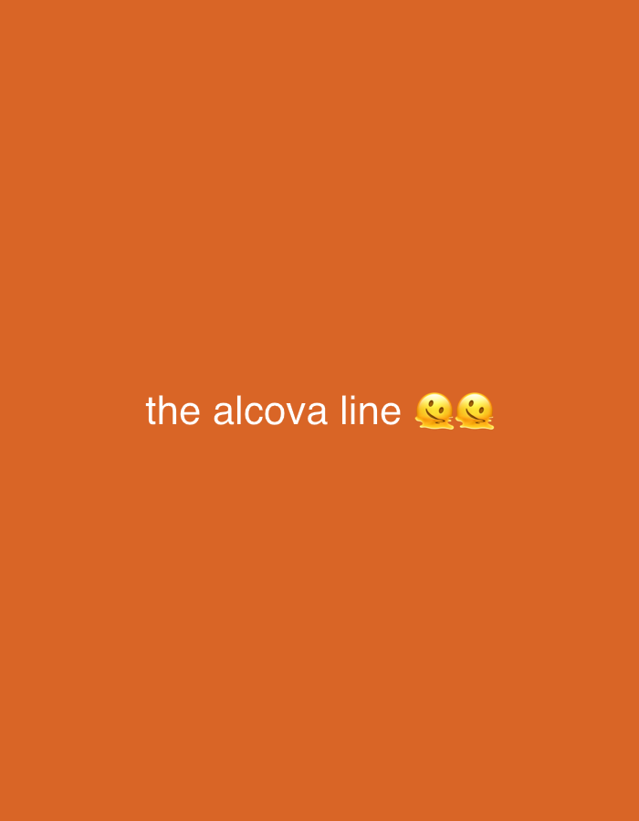 An orange background has the words "the alcova line" in white text, followed by two emoji faces. The background is a solid color, and the text and emojis are centered. There is no location information.