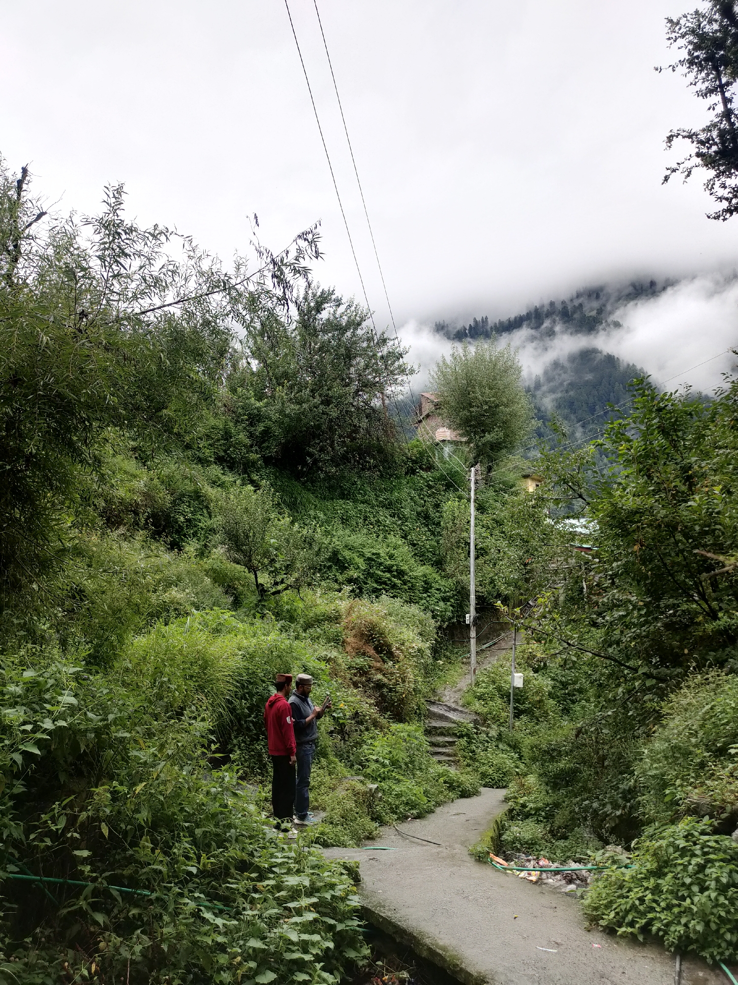 The image depicts a lush, green mountainside in Siyal, India, characterized by dense vegetation and a slightly overcast sky. The scene is dominated by a winding path made of concrete and stone steps that ascend the incline. Two men, dressed in traditional attire with red and blue garments and embroidered caps, stand near the beginning of the path, looking towards the right side of the frame. One man appears to be holding a mobile phone. A wooden structure with a yellow light is visible further up the path, and in the distance, mountains are shrouded in fog. Power lines crisscross the upper portion of the image, and the overall atmosphere is one of natural beauty and a tranquil, rural setting.