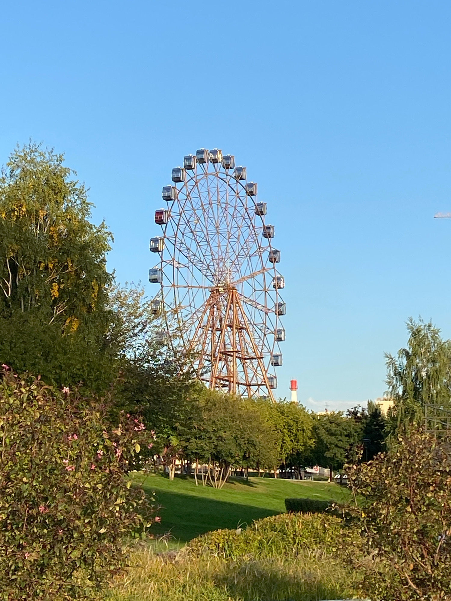 The image shows a large Ferris wheel in the city of Novosibirsk, Russia, likely in the Lokomotiv Park. The Ferris wheel is a prominent, rusted metal structure with numerous cabins. It is set against a clear blue sky. In the foreground, lush green grass and trees partially obscure the view of the Ferris wheel and the park. Some of the trees in the foreground have autumn foliage, with yellow and green leaves. Further back, there are more trees and some buildings visible. A red and white striped smokestack or tower is also visible behind the trees. The scene appears to be a sunny day, possibly in the late afternoon given the lighting. There are no people visible in the image.