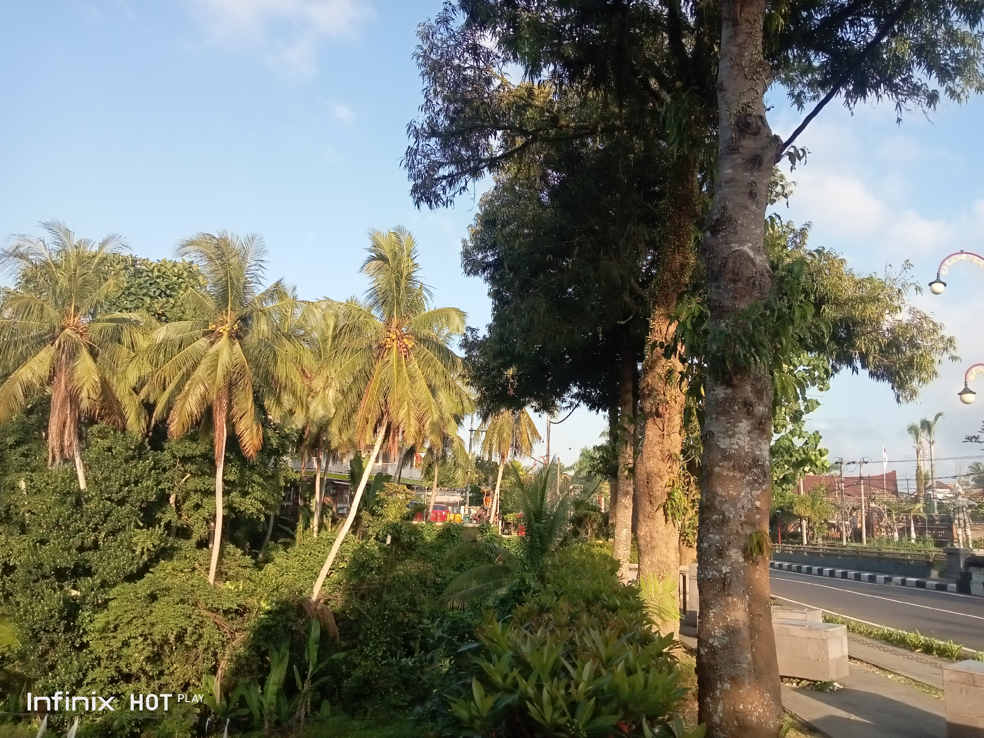 The image captures a street scene in Blahbatuh, Indonesia, bathed in the warm glow of what appears to be late afternoon or early morning sunlight. Dominating the left side of the frame are several tall coconut palm trees, their fronds casting long shadows. To the right of the palms, a larger, mature tree with a textured, greyish-brown trunk stands prominently, its branches reaching towards the sky. Beyond these trees, a paved road with distinct white and black markings stretches into the distance, suggesting a well-maintained thoroughfare. Alongside the road, there are concrete barriers and a sidewalk. In the background, various buildings, including what seems to be a low-rise structure with red accents, are visible, interspersed with more lush green foliage. A decorative lamppost with a curved arm and a light fixture can be seen in the upper right portion of the image. The sky is a clear blue with scattered white clouds. The overall impression is one of a tropical environment with a blend of natural greenery and urban infrastructure. The watermark "Infinix HOT PLAY" is present in the lower left corner of the image.
