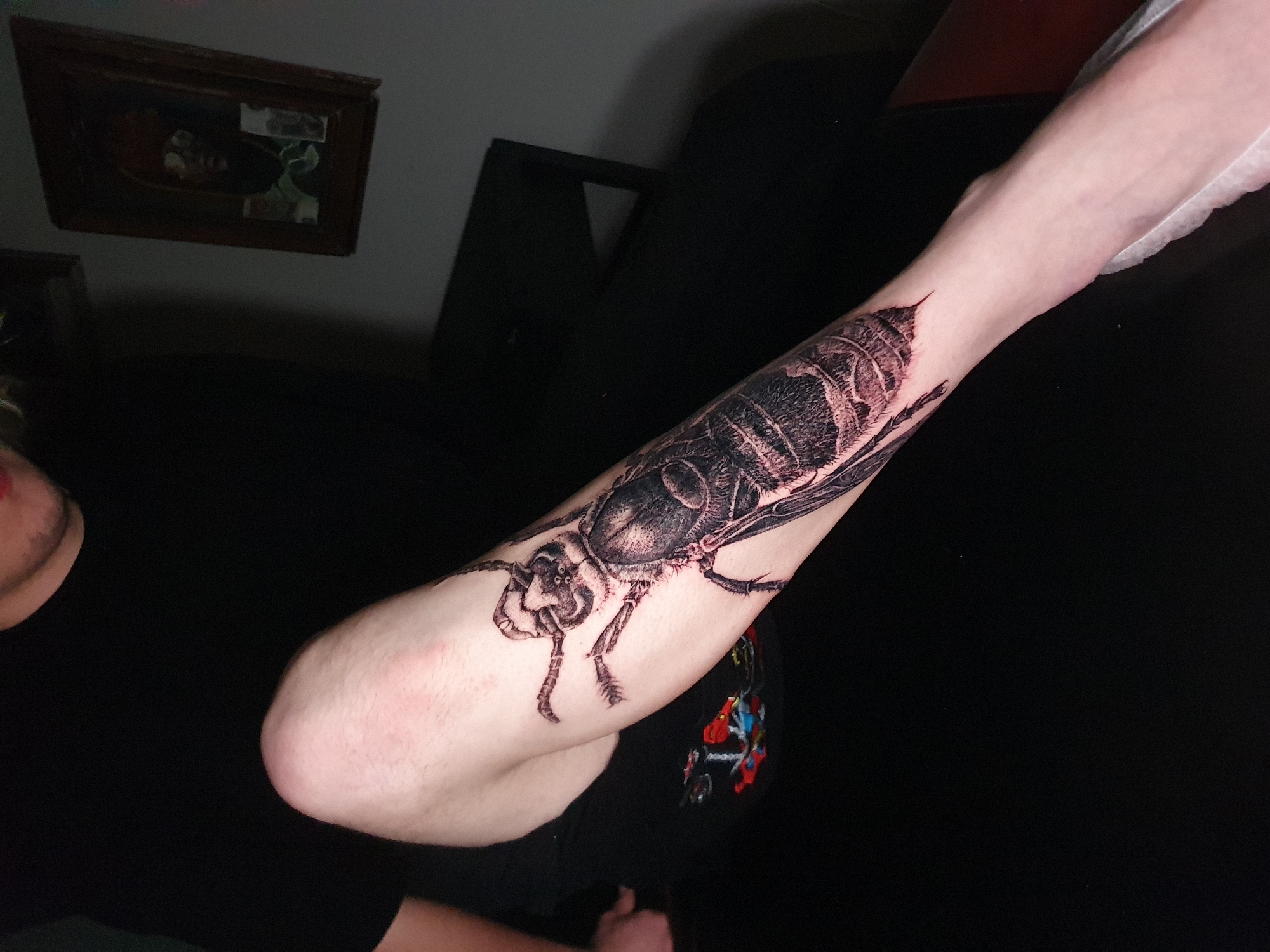 A close-up shot depicts a person's arm with a large tattoo of a hornet extending from the forearm to just above the elbow. The tattoo is predominantly black and detailed, showing the insect's anatomy. The person's arm is pale and visible from the elbow upwards, fading into what appears to be a gloved hand. The background is dark and somewhat indistinct, with hints of black furniture and other objects. A framed picture hangs on a wall in the upper left corner of the image. There is no clear indication of Ulyanovsk, Russia.