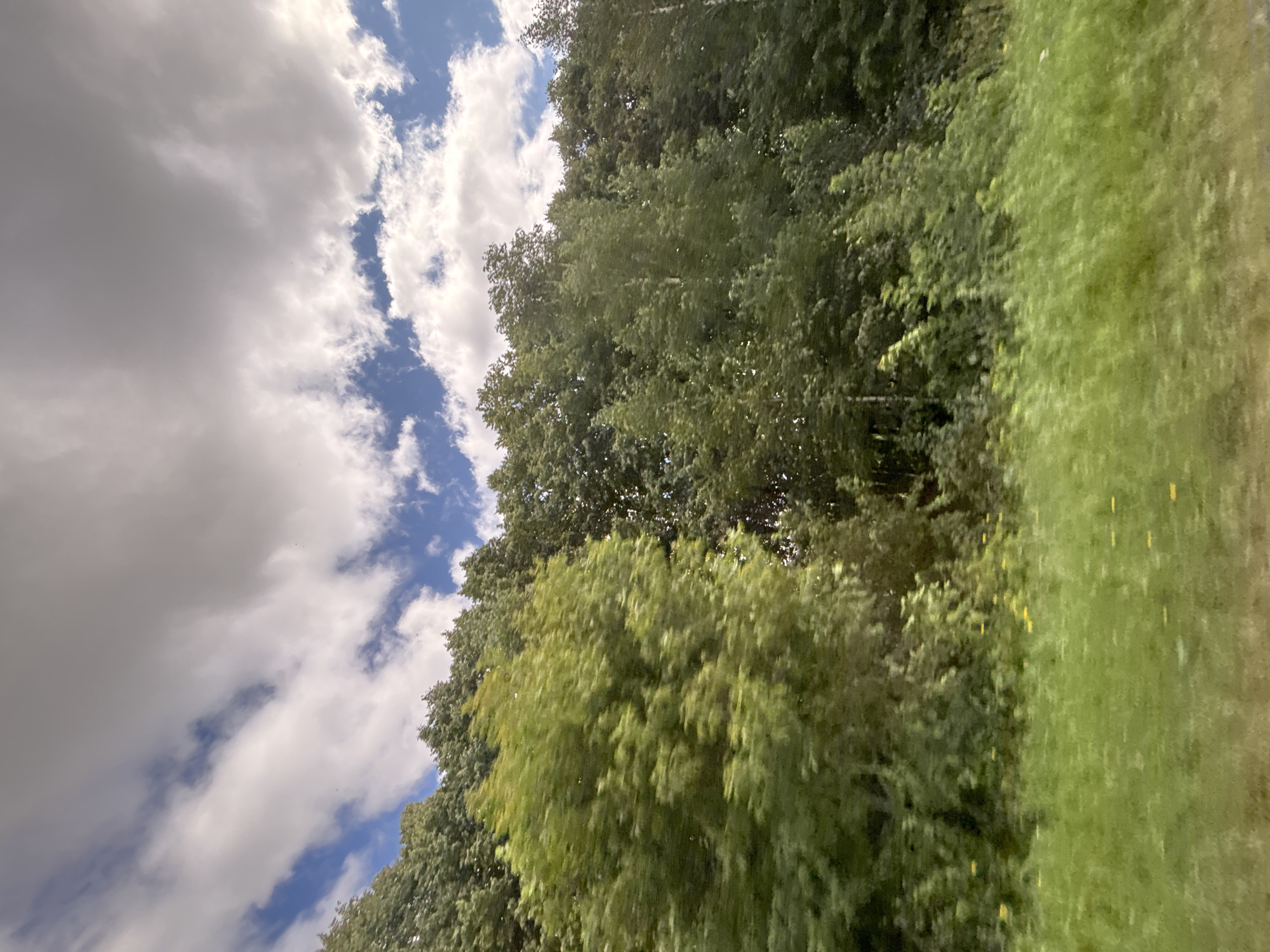 The image depicts a view of trees and a grassy field under a sky with white clouds and blue sky peeking through. The scene appears to be from a moving vehicle due to the motion blur present in the foreground, particularly in the grassy area. The trees are dense and predominantly green, forming a thick treeline that stretches across the frame. The sky occupies the upper portion of the image, with large, fluffy clouds dominating the space. The lighting suggests it is daytime. The location is identified as Bolshiye Sundyr, Russia.