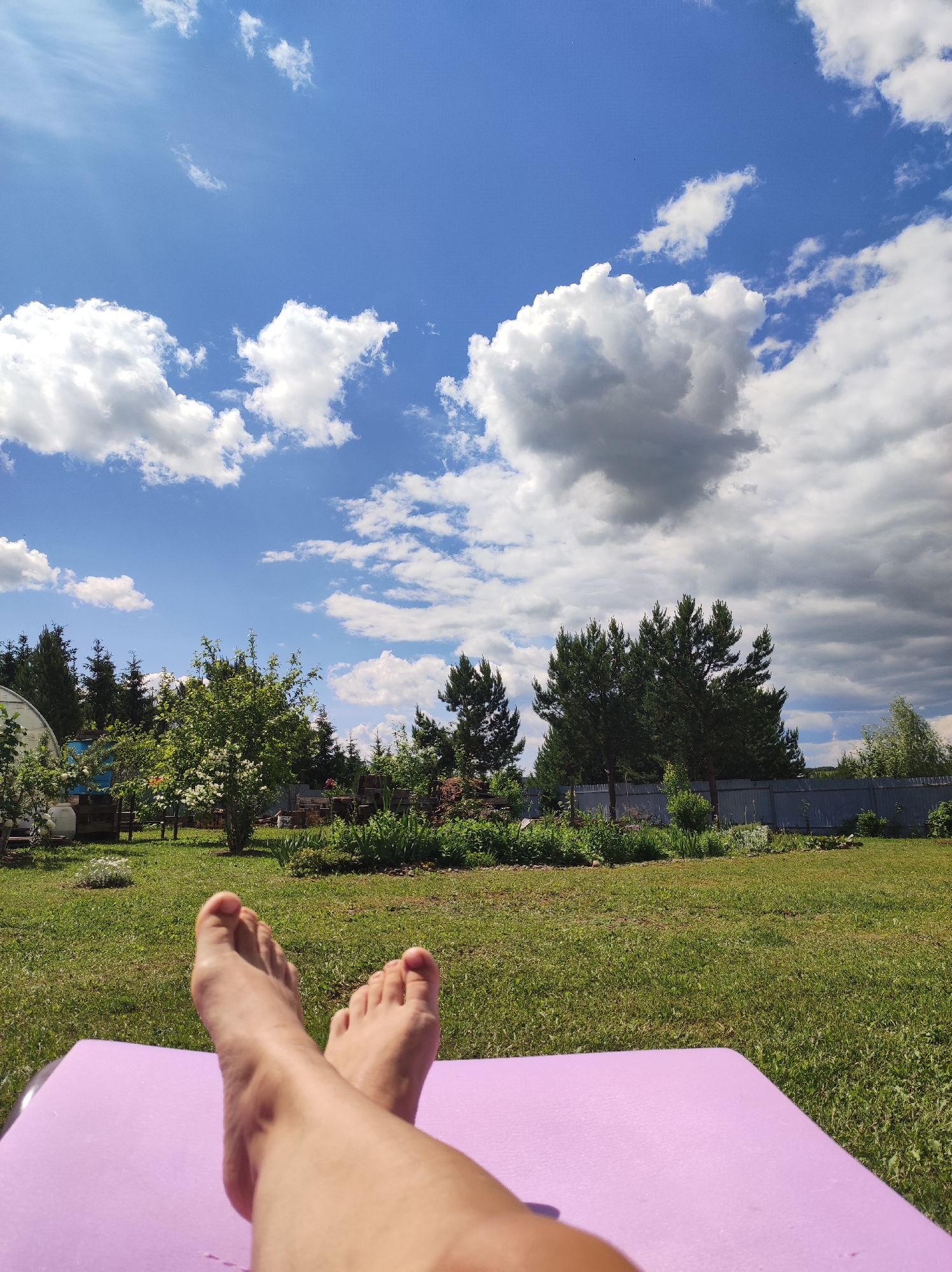 The image presents a first-person, low-angle view from a reclined position in an outdoor setting in Фоки, Russia. In the immediate foreground, a pair of bare, tanned feet, belonging to an adult, are crossed at the ankles and rest on a purple mat or towel, partially visible at the bottom of the frame. The midground features a vibrant green lawn under bright sunlight, with some scattered shadows. To the left, a portion of a white, arched structure (possibly a greenhouse or shed) is visible, along with flowering bushes. In the center, a small tree with white blossoms stands amidst other low-lying garden plants. To the right, a corrugated metal fence separates the yard from the background. The background is dominated by a line of tall, dark green coniferous trees (likely pines or spruces). Above the trees, the sky is a clear blue with numerous white cumulus clouds, some appearing bright and well-lit, while others exhibit darker grey undersides, suggesting varying cloud thickness. The overall scene depicts a sunny day in a rural or suburban garden environment.
