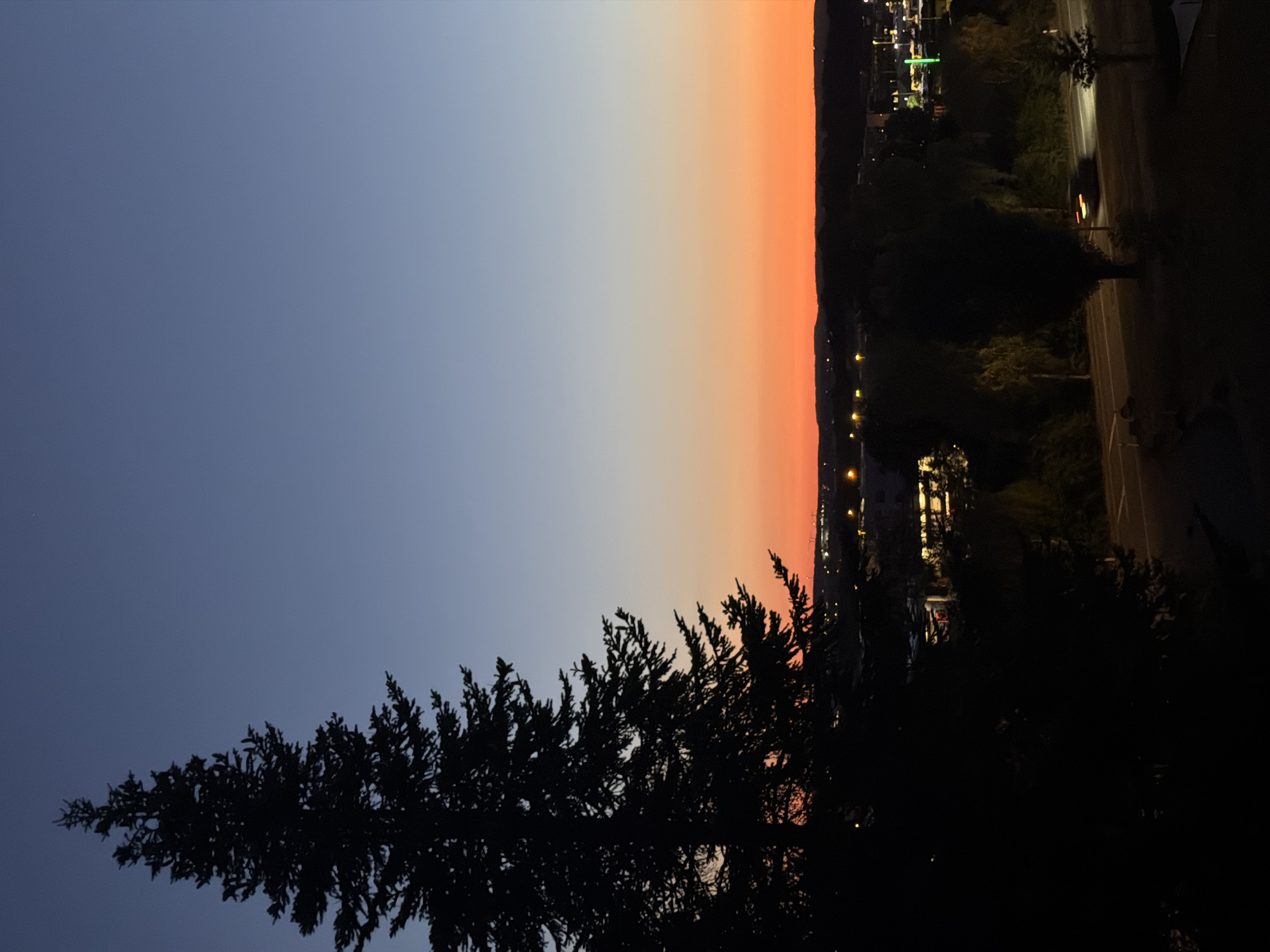 The image depicts a twilight scene from a high vantage point overlooking a suburban area. The sky transitions from a deep blue at the top to a vibrant orange near the horizon, indicating the sun has recently set. Silhouetted against this colorful sky is a large evergreen tree on the left side of the frame, its branches detailed against the fading light. Below, the landscape features a scattering of buildings with illuminated windows, suggesting commercial or residential structures. Roads are visible, with faint lights indicating vehicle traffic. A dark, blurred car is captured in motion on one of the roads, its headlights leaving streaks of light. The overall impression is one of a peaceful, evening view of the Leudelange area in Luxembourg.