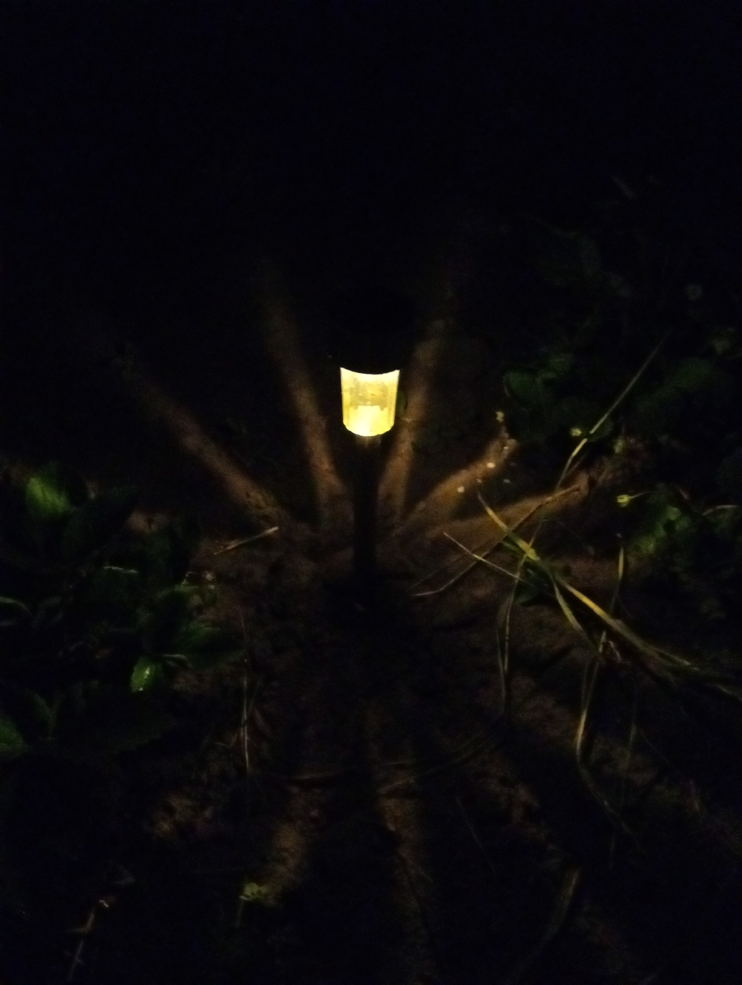A low-angle, night-time photograph shows a solar-powered garden light casting a yellow glow on the ground. The light is centrally positioned in the frame and surrounded by vegetation on the left and right sides. The location is unclear and there is no information to connect it to the city of Babyn, Ukraine. There are no people visible in the image. The environment appears to be an outdoor garden.
