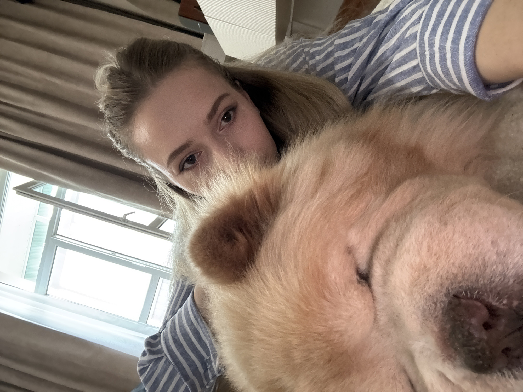 A person wearing a blue and white striped shirt is lying down next to a light-colored Chow Chow dog. The person's face is partially obscured by the dog's fur, and they are looking towards the camera. The dog's eyes are closed, and its face is turned away from the camera. The scene appears to be indoors, with natural light coming from a window in the background. The window has white frames and is partially open. Curtains are visible on either side of the window. A piece of furniture, possibly a cabinet, is visible in the right background. The image is a selfie taken from a close-up perspective, focusing on the person and the dog.