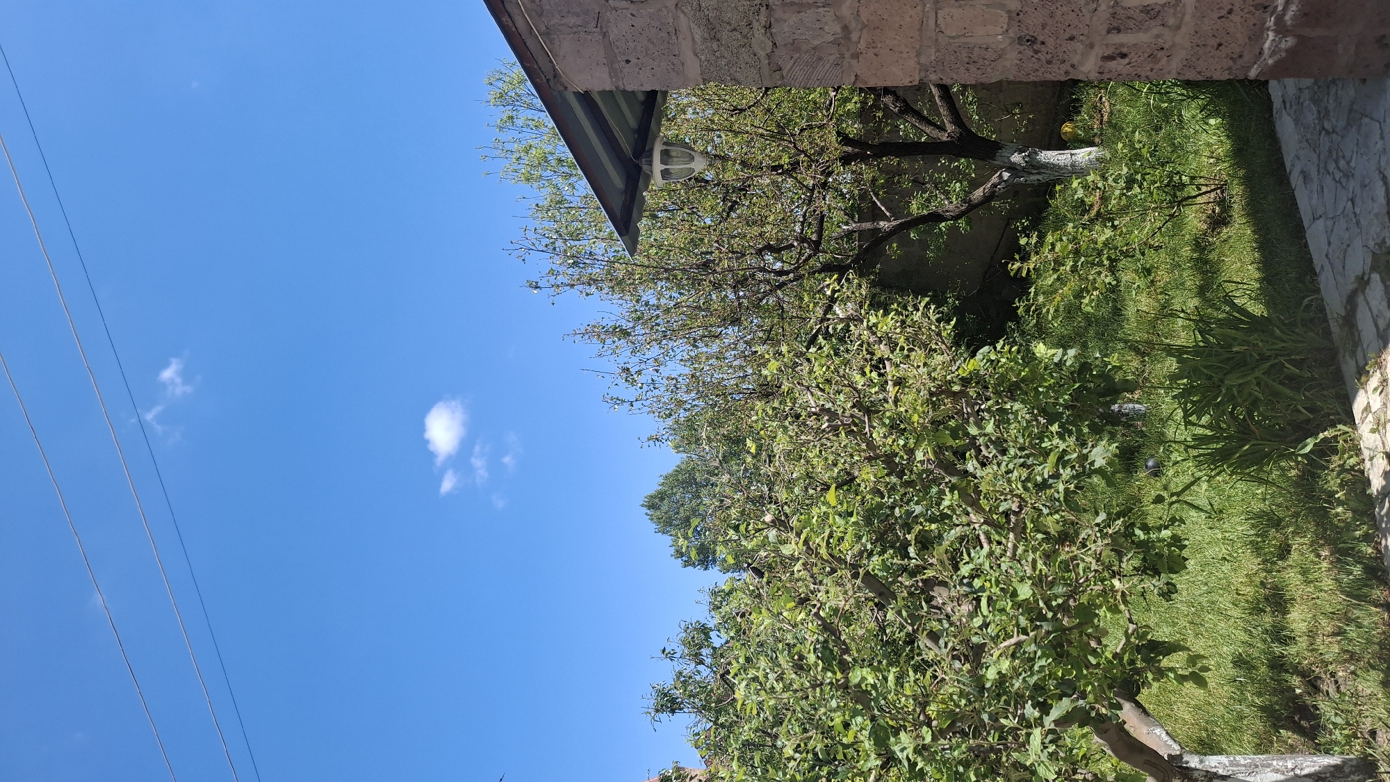 The image depicts a sunny outdoor scene, likely a backyard, with lush green trees and grass. In the foreground, a stone-paved path leads into the yard. To the right, a portion of a stone building with a corrugated metal roof is visible, featuring an outdoor light fixture. The sky is a clear blue with a few scattered white clouds and two overhead wires. The vegetation appears healthy and well-maintained, suggesting a temperate climate. The overall impression is one of a peaceful, rural setting. The location in Gyumri, Armenia is inferred from the context provided in the prompt.