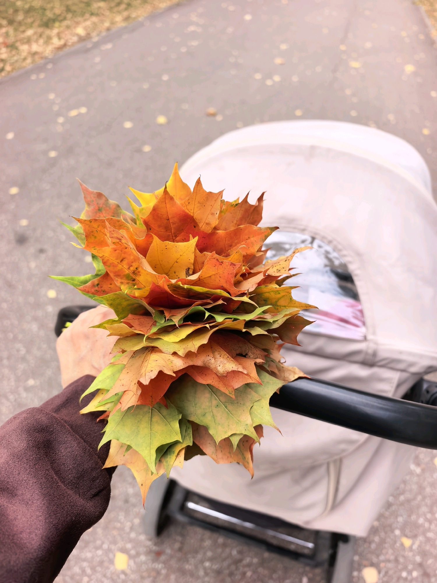 A first-person perspective shot shows a person's hand holding a bouquet of colorful autumn leaves. The leaves are a mix of red, orange, yellow, and green, with some showing signs of browning. The hand is covered by a brown sleeve. In the background, a tan-colored baby stroller is partially visible, with a black handlebar. The stroller appears to be on a paved path, with some fallen leaves scattered on the ground. The overall environment suggests an outdoor setting in a park or along a sidewalk in the city of Sterlitamak, Russia, during the fall season.