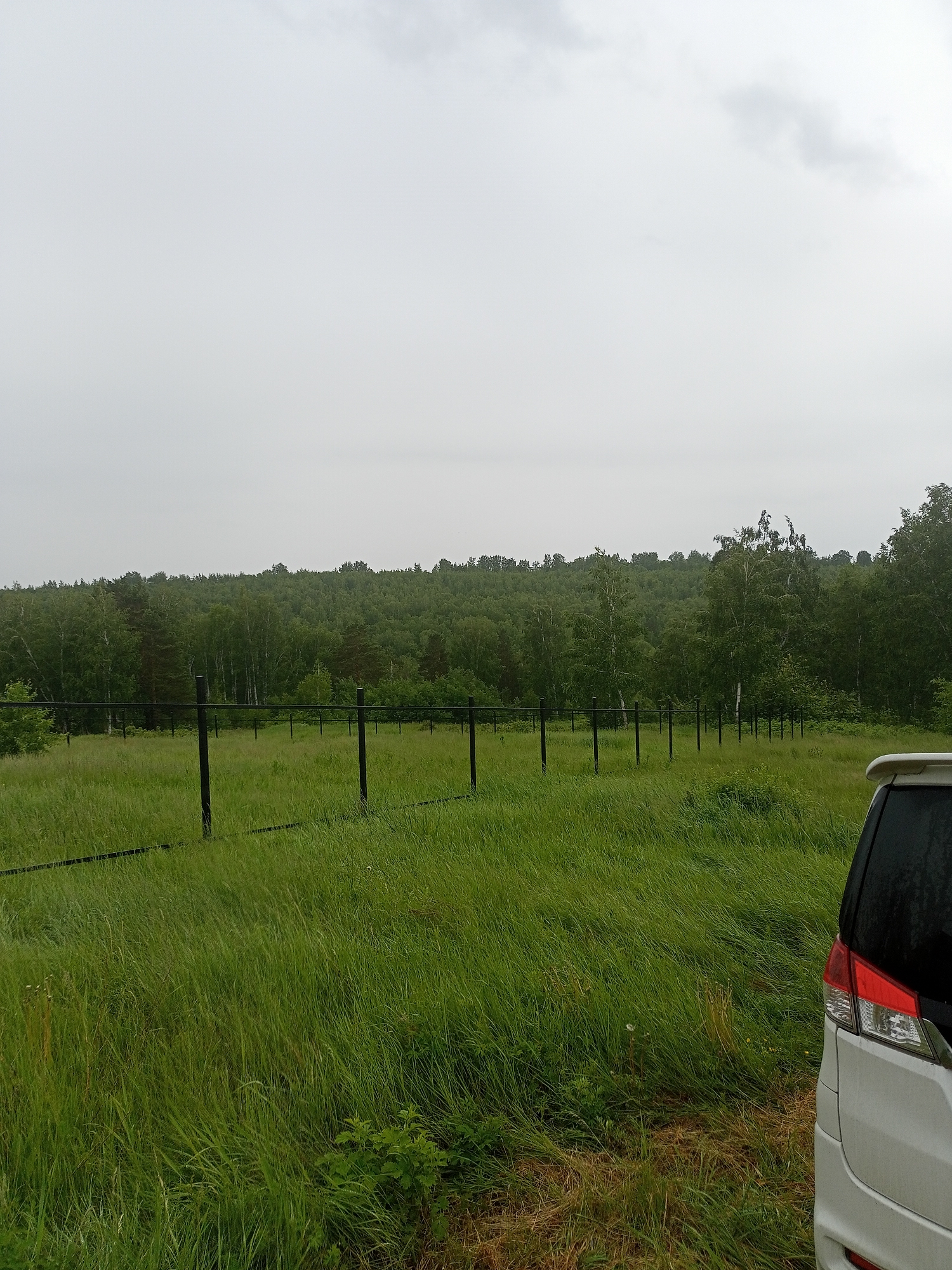 The image captures a rural landscape with a fence line running across a grassy field. In the background, a dense forest covers rolling hills, under a overcast sky. A white vehicle is partially visible on the right side of the frame. The scene appears to be located in Karluk, Russia, given the context provided.