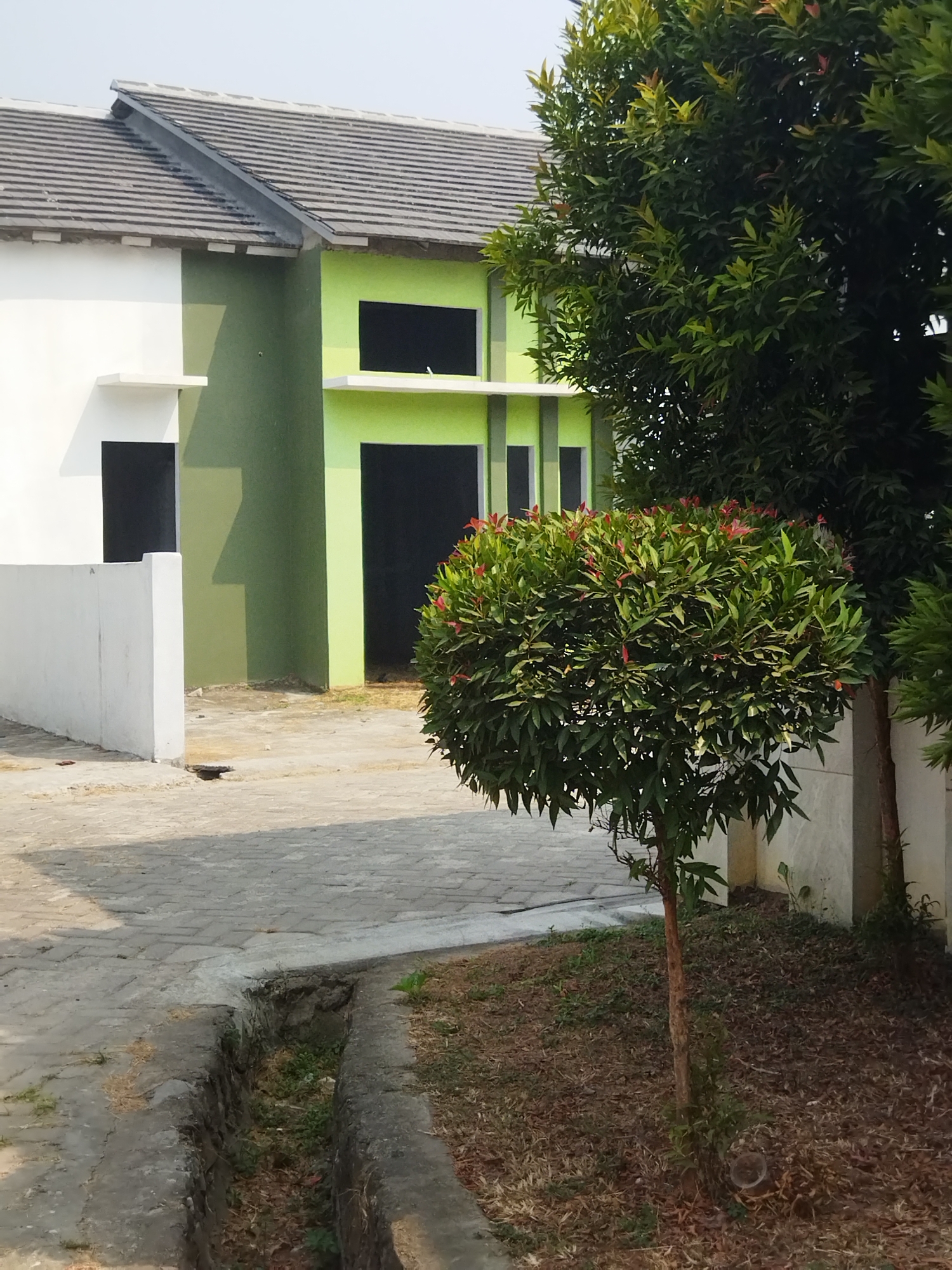 The image depicts a residential scene in the city of Suka Sari, Indonesia, showcasing a row of houses with distinct architectural features. The houses are characterized by their modern design, featuring a combination of white and lime green facades, topped with grey tiled roofs. Large black rectangular windows are visible on both structures, along with protruding white horizontal elements above some of the windows. In the foreground, a paved pathway, made of interlocking grey bricks, leads towards the houses. To the right of the pathway, a small, well-maintained tree with vibrant green leaves and hints of red foliage stands out. Behind this tree, a larger, darker green tree is partially visible. A narrow, concreted drainage channel runs alongside the pathway, filled with dry leaves and some vegetation. The ground surrounding the trees is covered in a layer of dry leaves and sparse grass, indicating a somewhat arid environment. The overall impression is of a tidy, contemporary residential area with elements of landscaping.