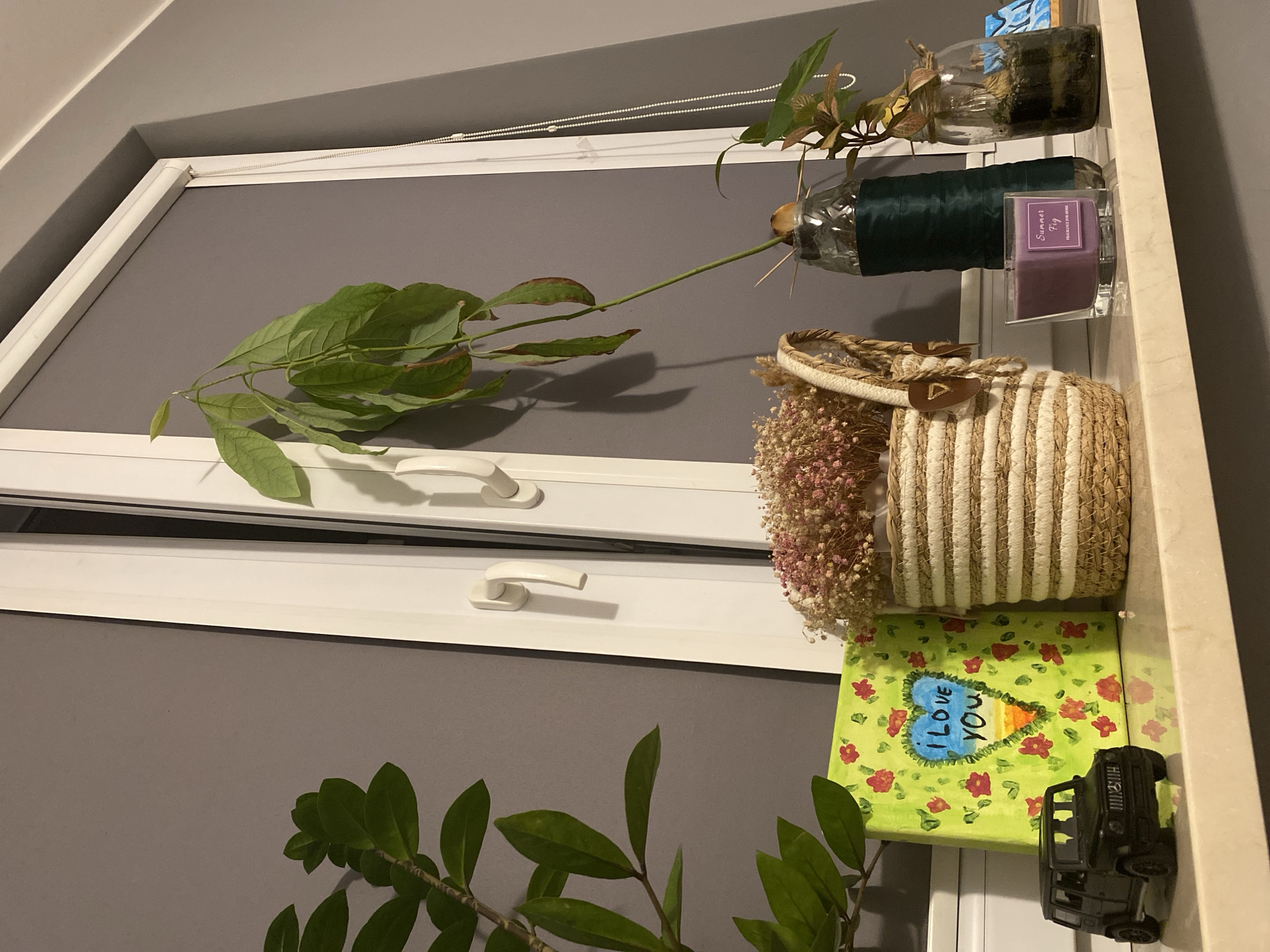 This is a close-up, eye-level, indoor shot of a windowsill, featuring several decorative items and plants. The windowsill is made of a light-colored, smooth material, possibly marble or laminate, and it runs horizontally across the frame.
On the left side of the windowsill, a dark-colored toy car, resembling a Mercedes-Benz G-Wagen, is placed prominently. To the right of the car is a square canvas with a bright green background, adorned with small red flower patterns and a central heart shape. The heart is painted in blue, with the words "I LOVE YOU" written inside it.
Next to the canvas is a woven basket with a straw-like texture, featuring horizontal stripes of light and dark brown. This basket is filled with a multitude of small, dried pink and white flowers.
Further to the right, an avocado seedling is growing from its pit, which is suspended by toothpicks in a clear glass bottle. The bottle is partially wrapped with a dark green material. Behind this bottle, another small plant in a glass jar is visible, appearing to be a terrarium or a similar type of plant propagation.
In front of the avocado seedling bottle, a square, clear glass candle holder contains a purple candle with a label that reads "Summer Fig FRAGRANCE FOR HOME".
The background consists of a window with white frames and a grey roller blind. The window has two handles, one on each panel, suggesting it is a double-pane window. The lighting appears to be ambient, likely from the window itself, creating soft shadows on the grey wall behind the objects.
There are no people present in the image. The scene is static, and the focus is on the arrangement of the objects. The overall impression is one of a cozy and personalized display on a windowsill. The specific location within the city of Łódź, Poland, cannot be determined from the visual information provided.