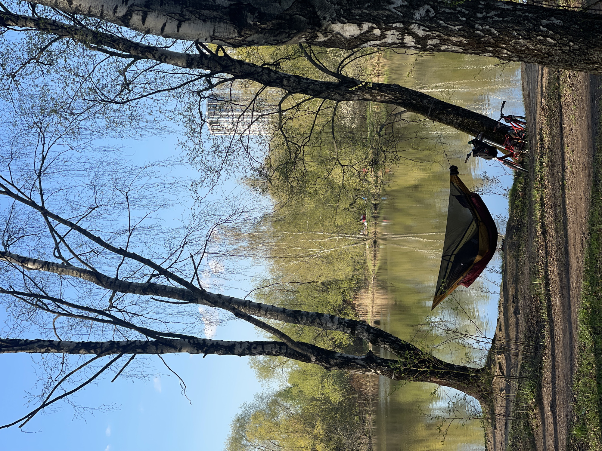 The image shows an outdoor scene, potentially near a body of water, likely a lake or pond. It appears to be taken in the city of Khimki, Russia, considering the location data.
The foreground includes bare tree branches against a blue sky. Several trees with distinctive birch bark are present.
A tent is pitched near the water's edge. Two bicycles are parked alongside a dirt path, leaning against a tree. In the background, across the water, there is evidence of vegetation and possibly some structures, indicating an urban or suburban setting. The water reflects the surrounding trees and sky.